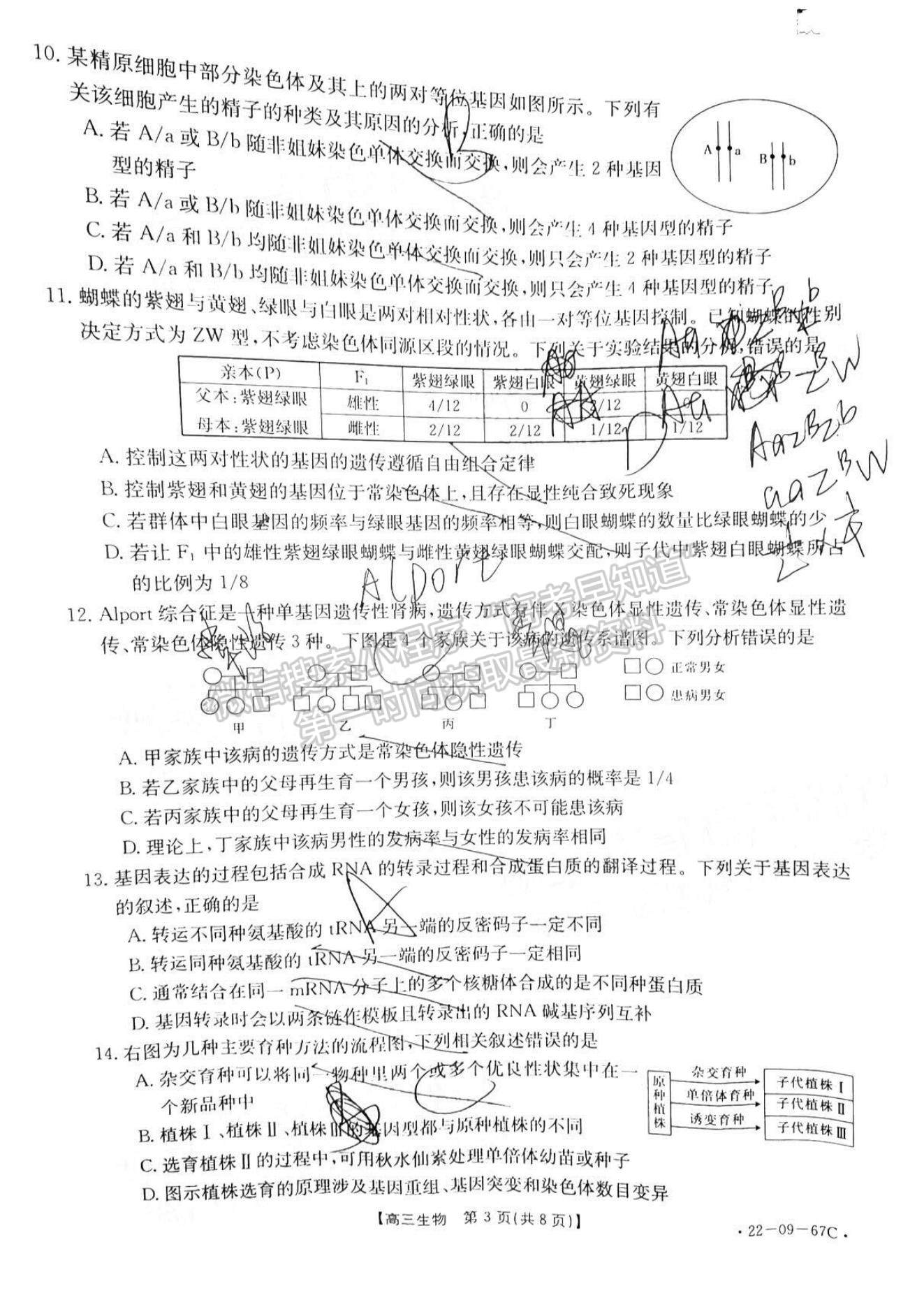 2022江西西路片七校高三第一次聯(lián)考（角標(biāo)：22-09-67C）生物試題及參考答案