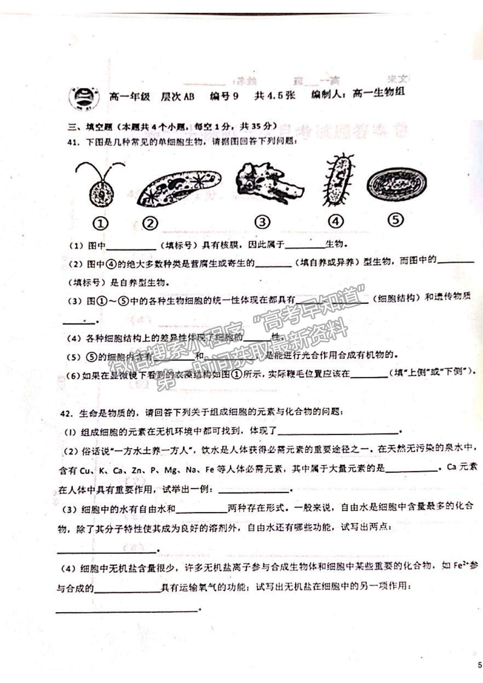 2022山東省聊城市陽谷縣第三中學(xué)高一10月月考生物試題及參考答案