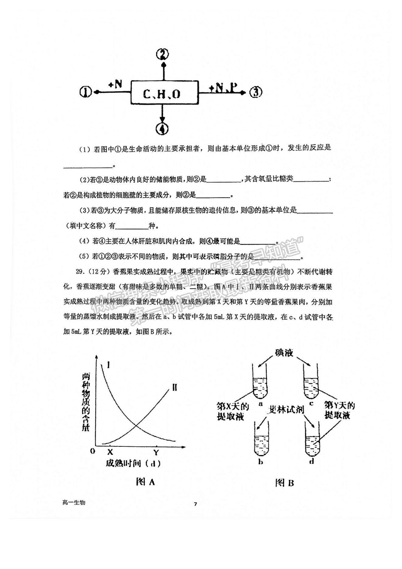 2022福州外國語學校高一上學期學情評價（10月月考）生物試題及參考答案