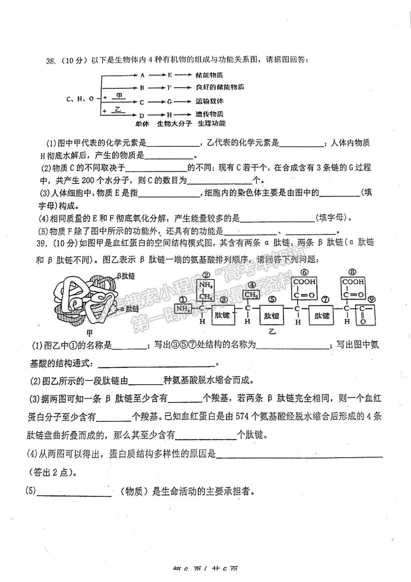 2022天津市寶坻區(qū)第九中學(xué)高一上學(xué)期第一次月考生物試題及參考答案