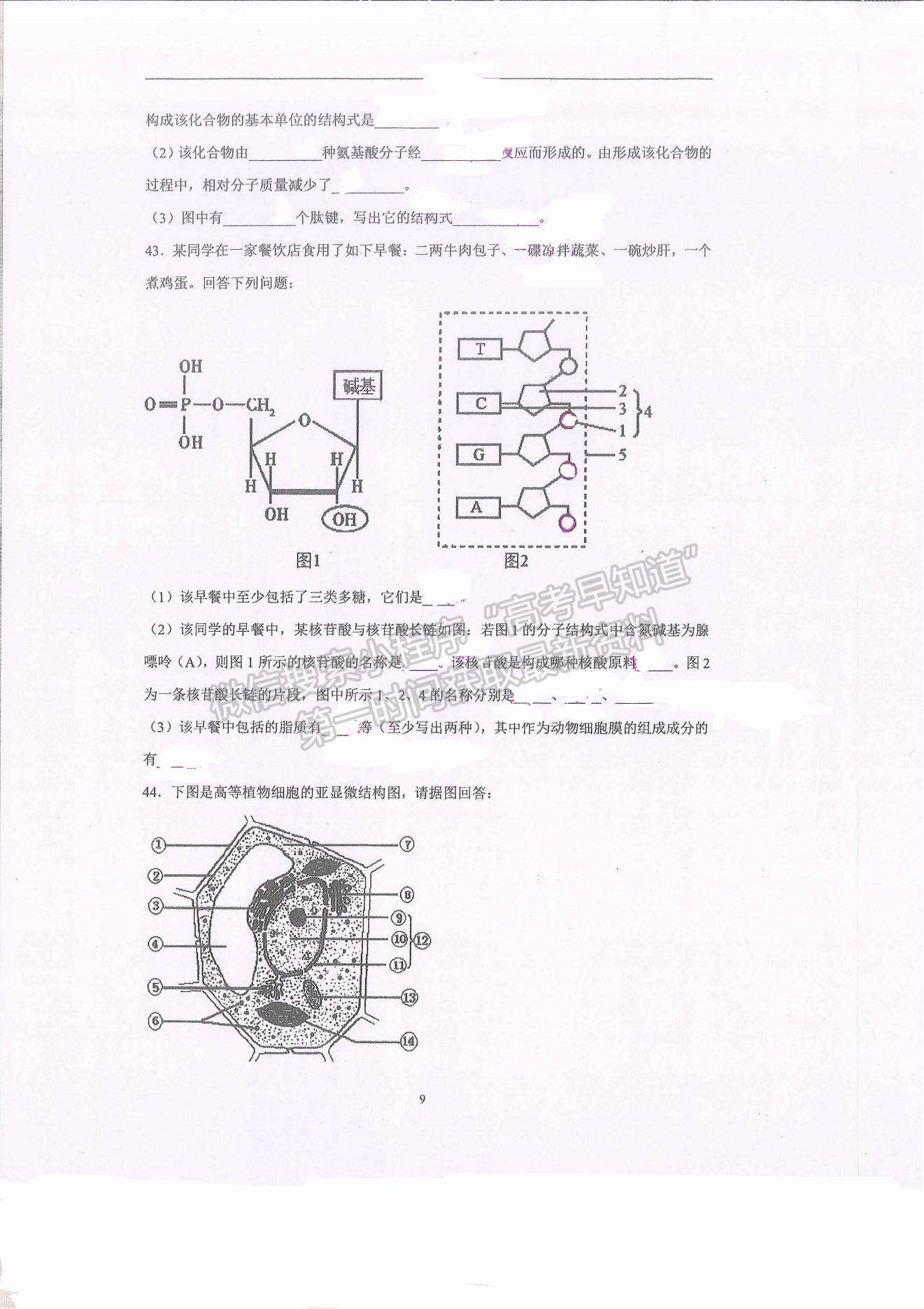 2021昆明市官渡區(qū)云子中學長豐學校高二上學期開學考試生物試題及參考答案