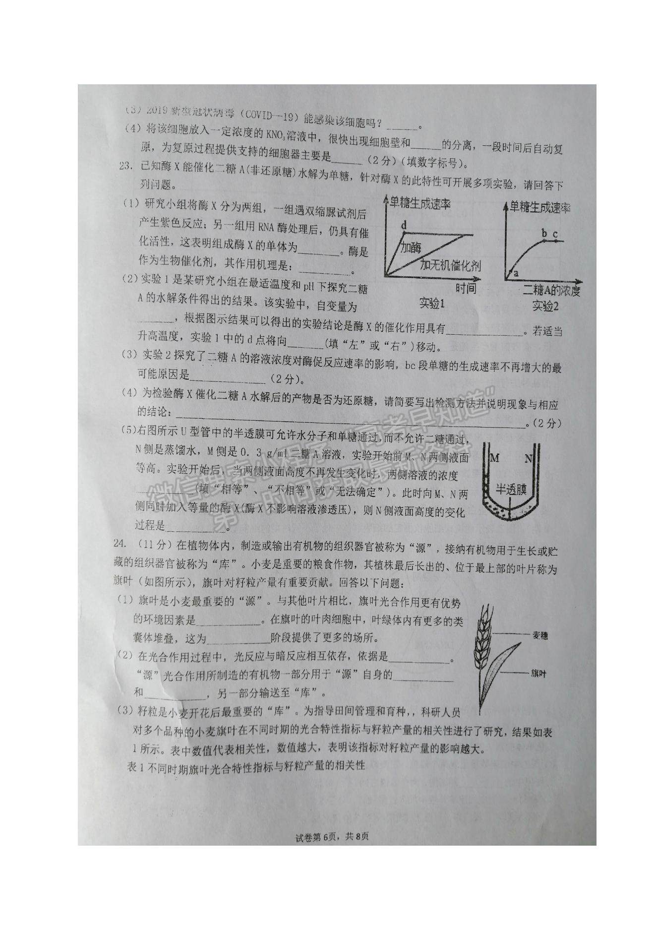 2022江蘇省鹽城市伍佑中學(xué)高三上學(xué)期第一次階段考試生物試題及參考答案