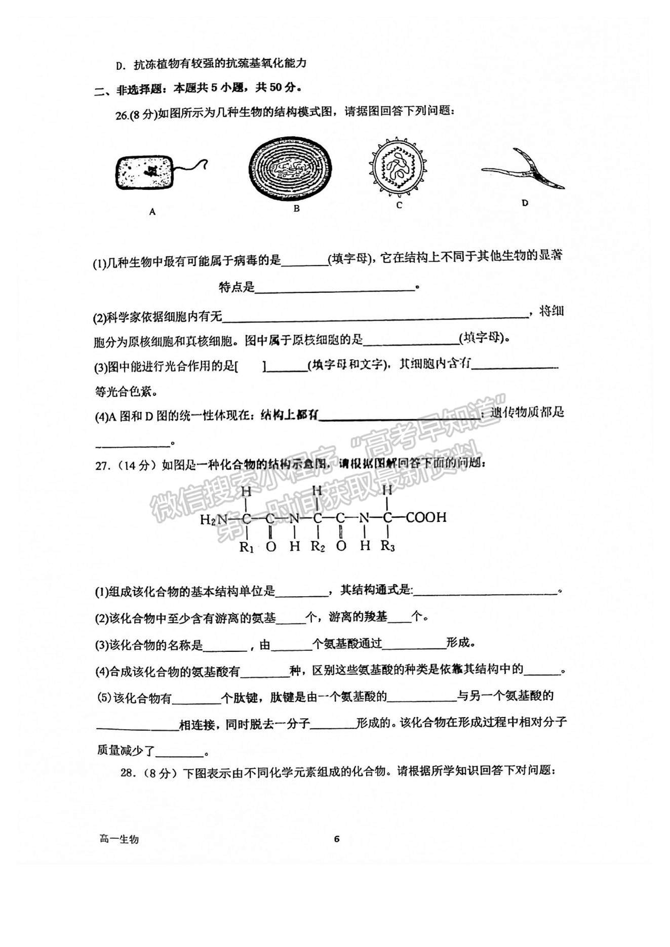 2022福州外國語學校高一上學期學情評價（10月月考）生物試題及參考答案