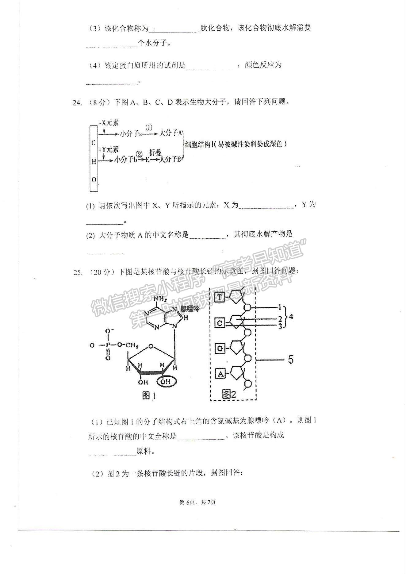 2022天津市軍糧城中學高一上學期第一次月考生物試題及參考答案