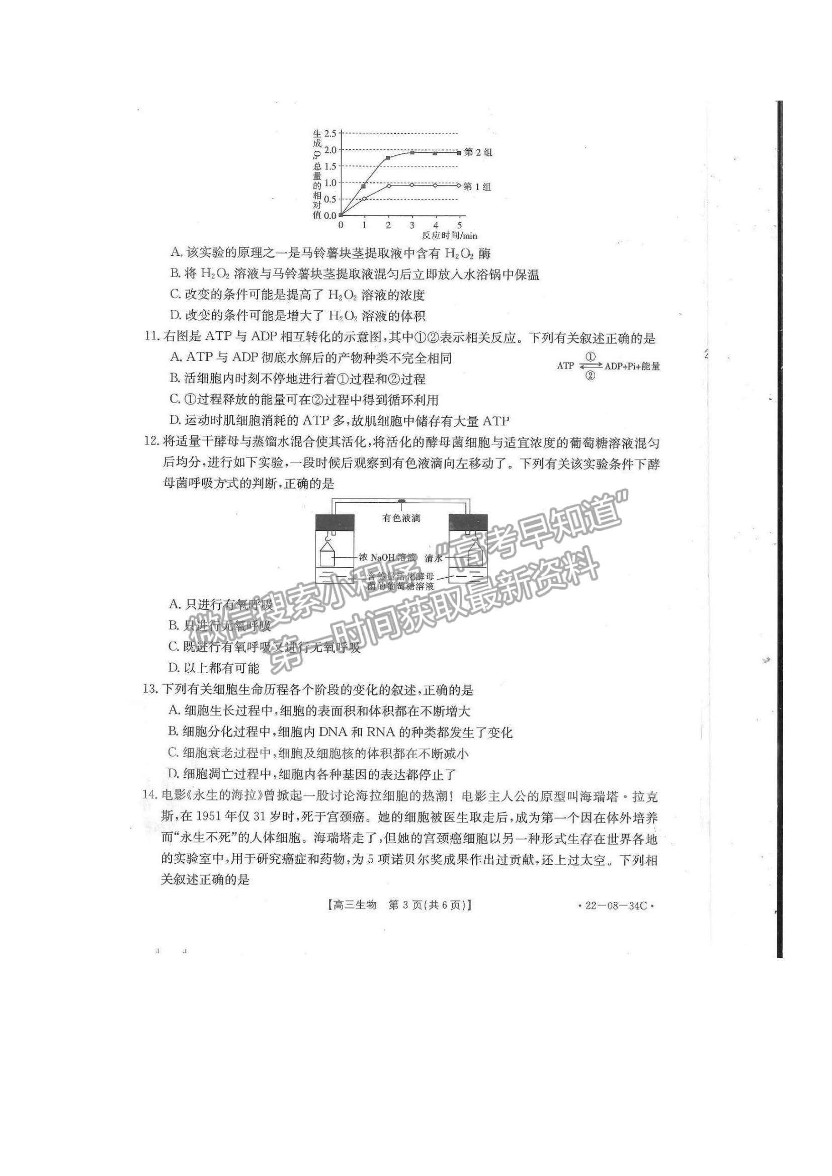 2022湖北百校聯(lián)考10月聯(lián)考（角標(biāo)：22-08-34C）生物試題及答案