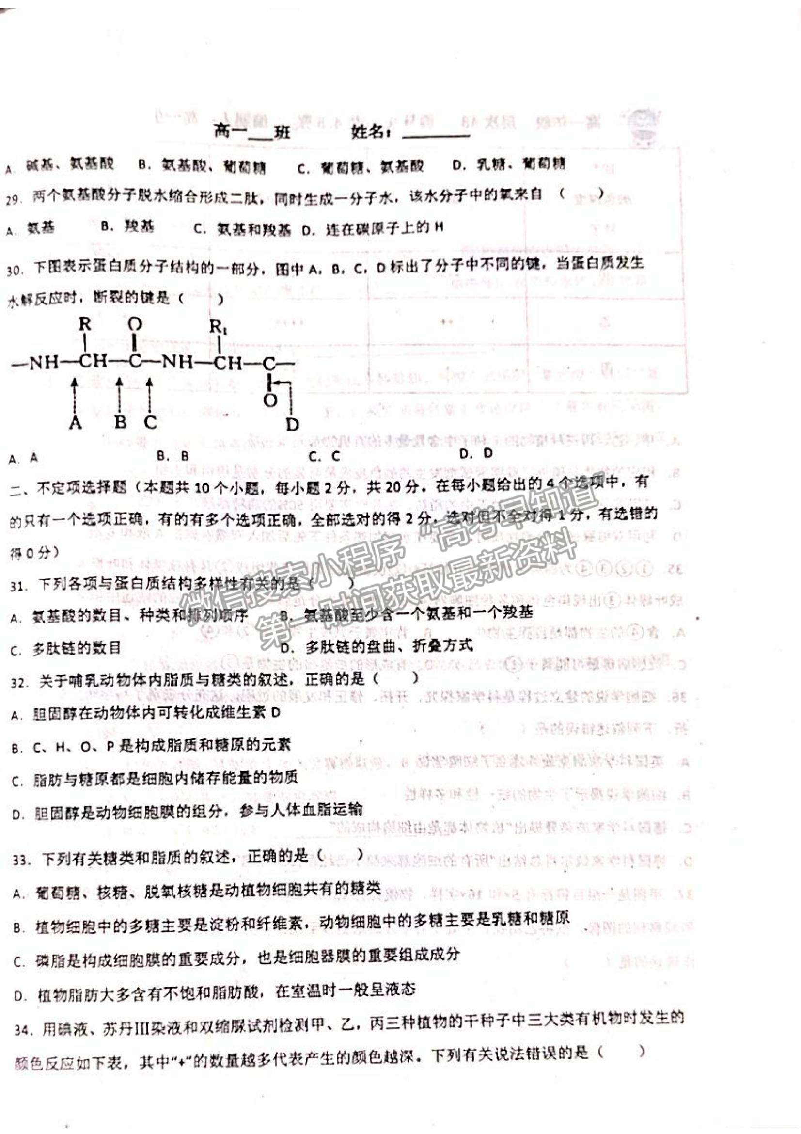 2022山東省聊城市陽谷縣第三中學(xué)高一10月月考生物試題及參考答案