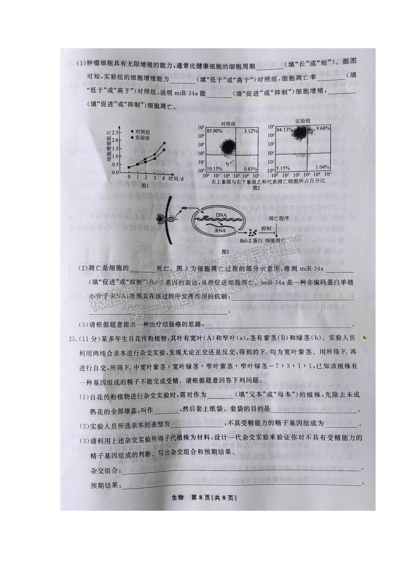 2022遼寧省名校聯(lián)盟高三9月份聯(lián)合考試生物試題及答案