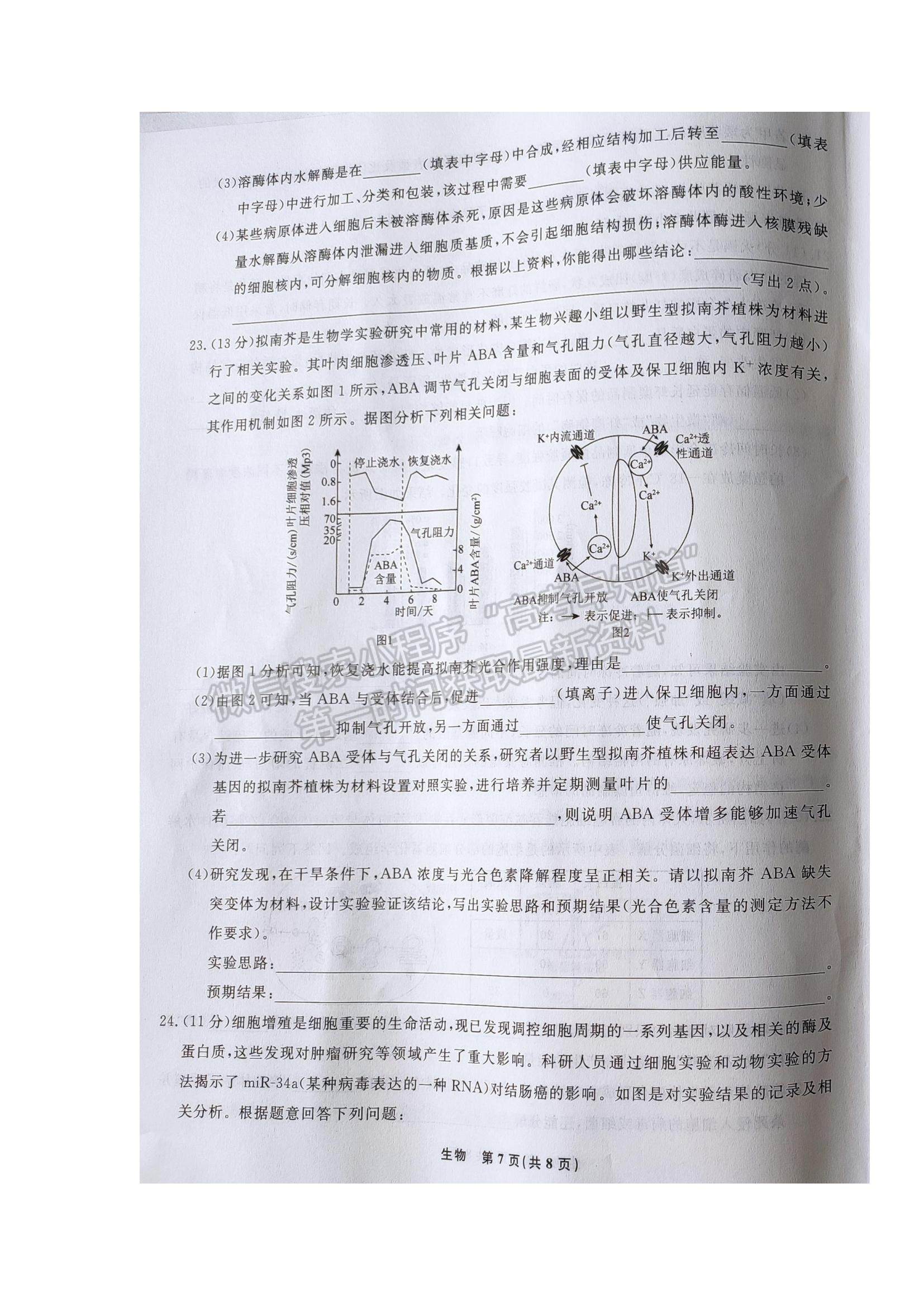 2022遼寧省名校聯(lián)盟高三9月份聯(lián)合考試生物試題及答案