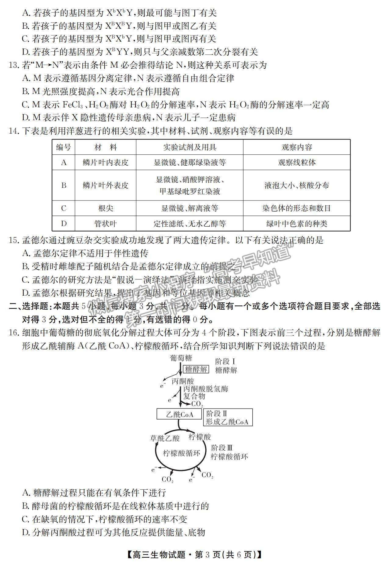 2021湖南省五市十校教研教改共同體高三上學期10月大聯(lián)考生物試題及參考答案