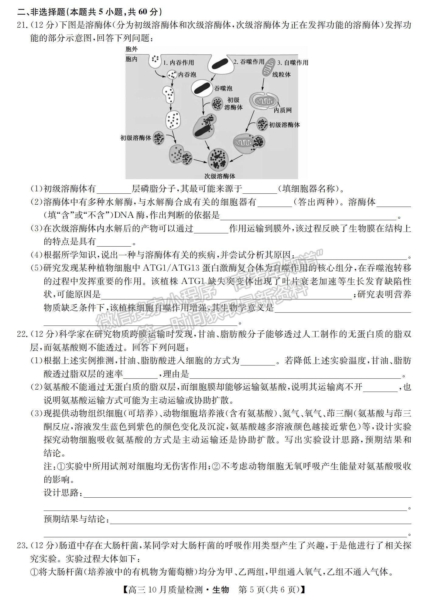 2021河南省高三上學(xué)期10月聯(lián)考(老高考)生物試題及參考答案