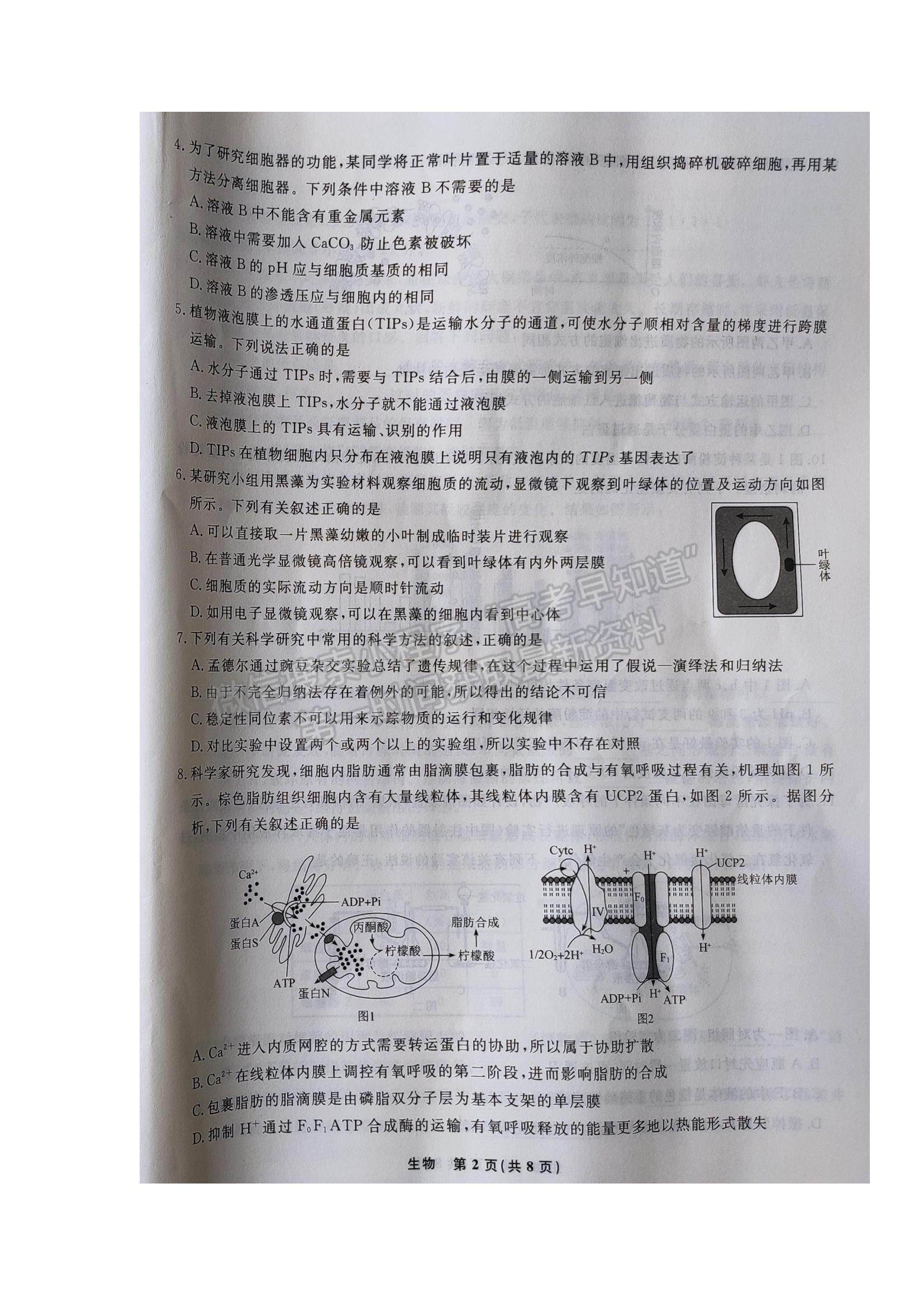 2022遼寧省名校聯(lián)盟高三9月份聯(lián)合考試生物試題及答案