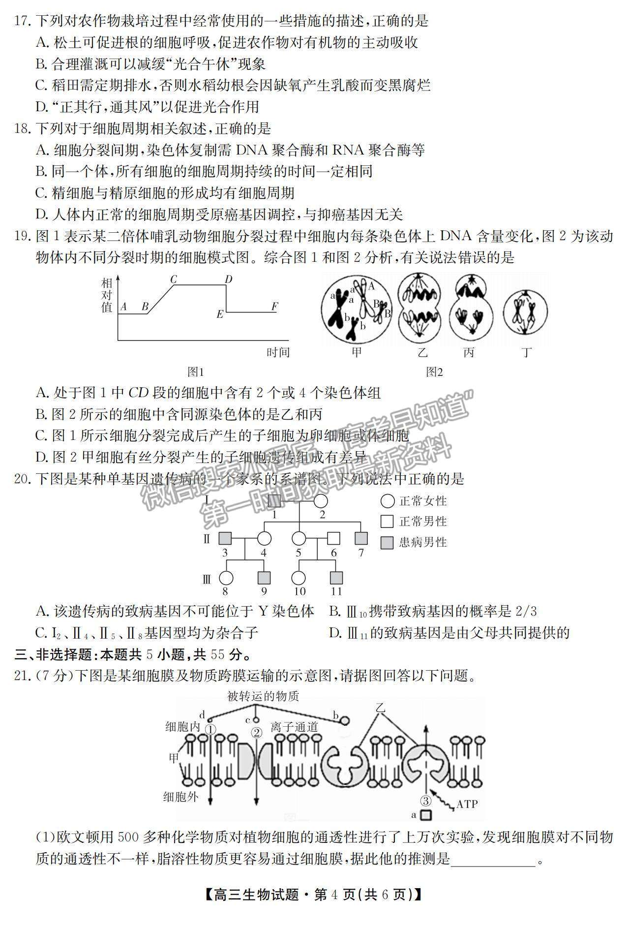 2021湖南省五市十校教研教改共同體高三上學期10月大聯(lián)考生物試題及參考答案