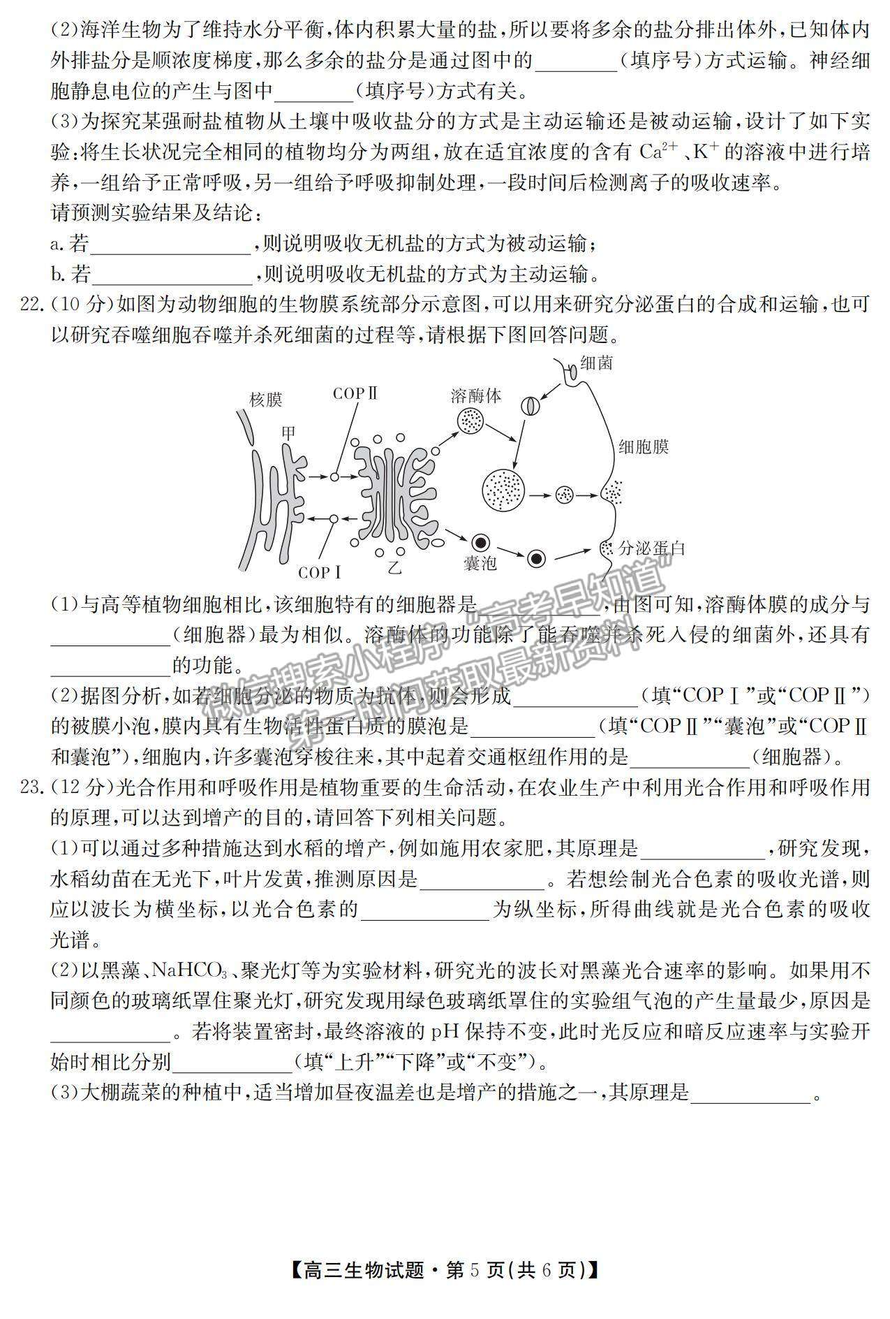 2021湖南省五市十校教研教改共同體高三上學期10月大聯考生物試題及參考答案