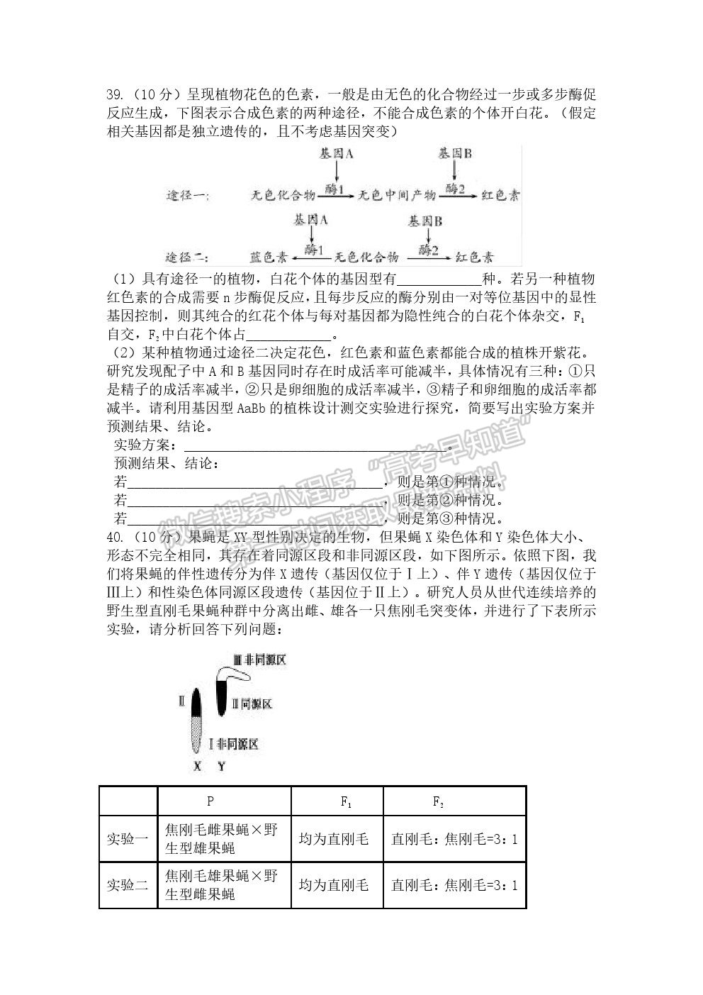 2021遼寧六校協(xié)作體高三第一次聯(lián)考生物試題及參考答案