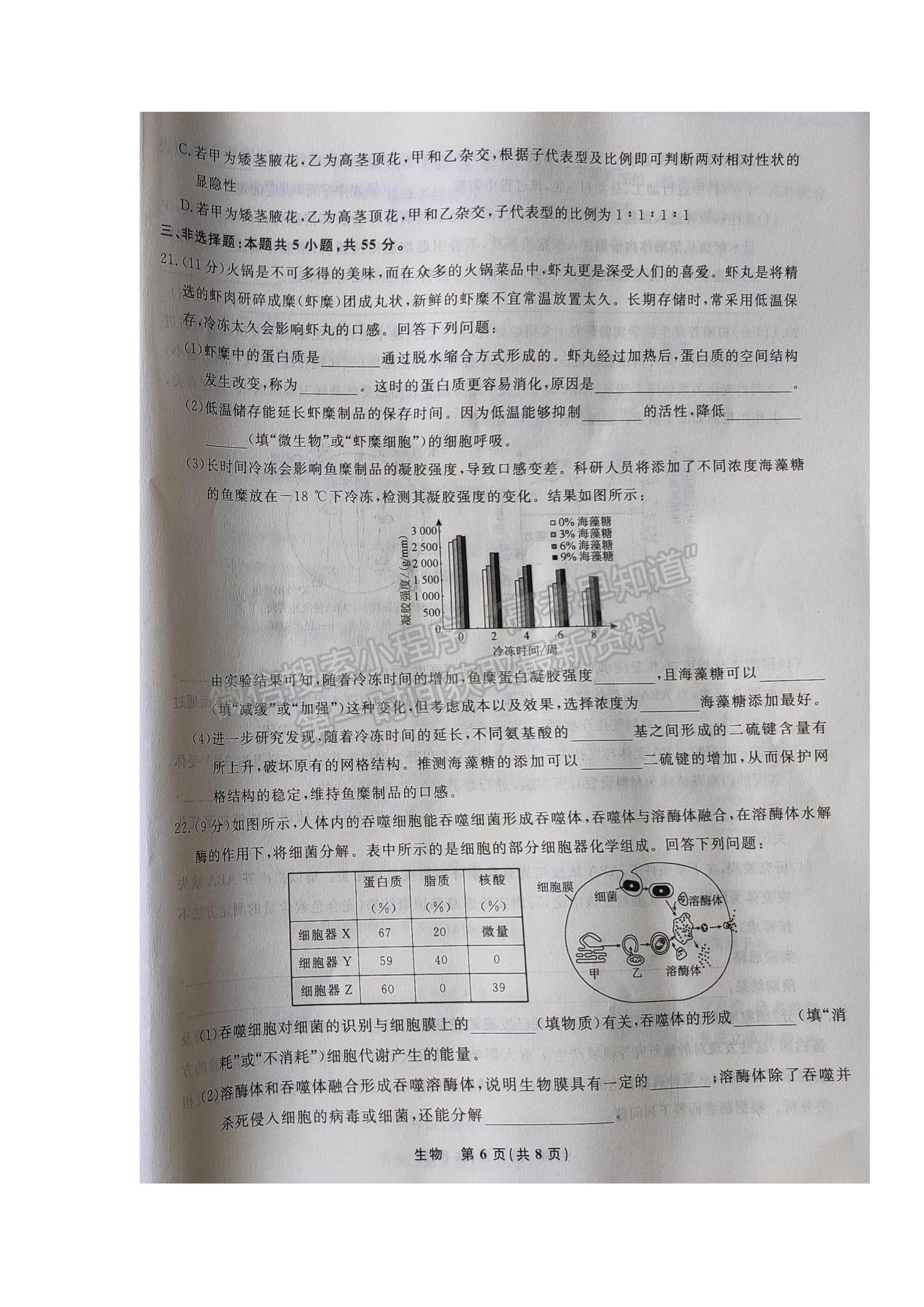 2022遼寧省名校聯(lián)盟高三9月份聯(lián)合考試生物試題及答案