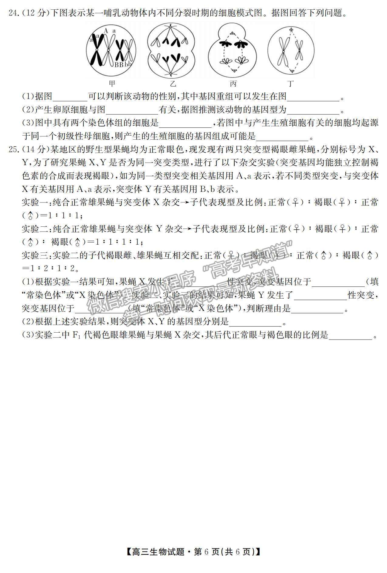 2021湖南省五市十校教研教改共同體高三上學期10月大聯考生物試題及參考答案