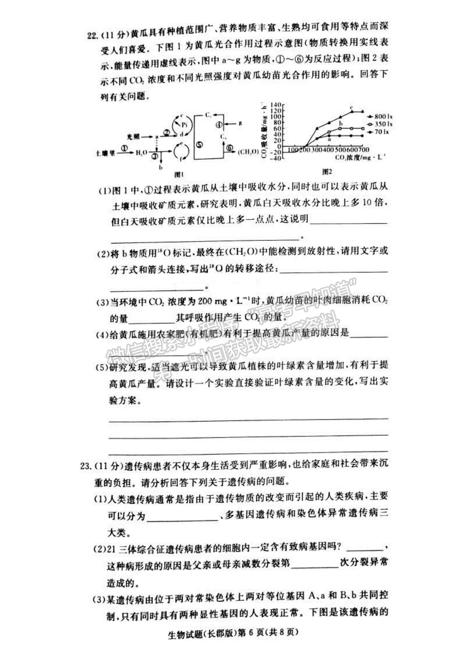 2021湖南省長(zhǎng)沙市長(zhǎng)郡中學(xué)高三上學(xué)期第三次月考生物試題及參考答案