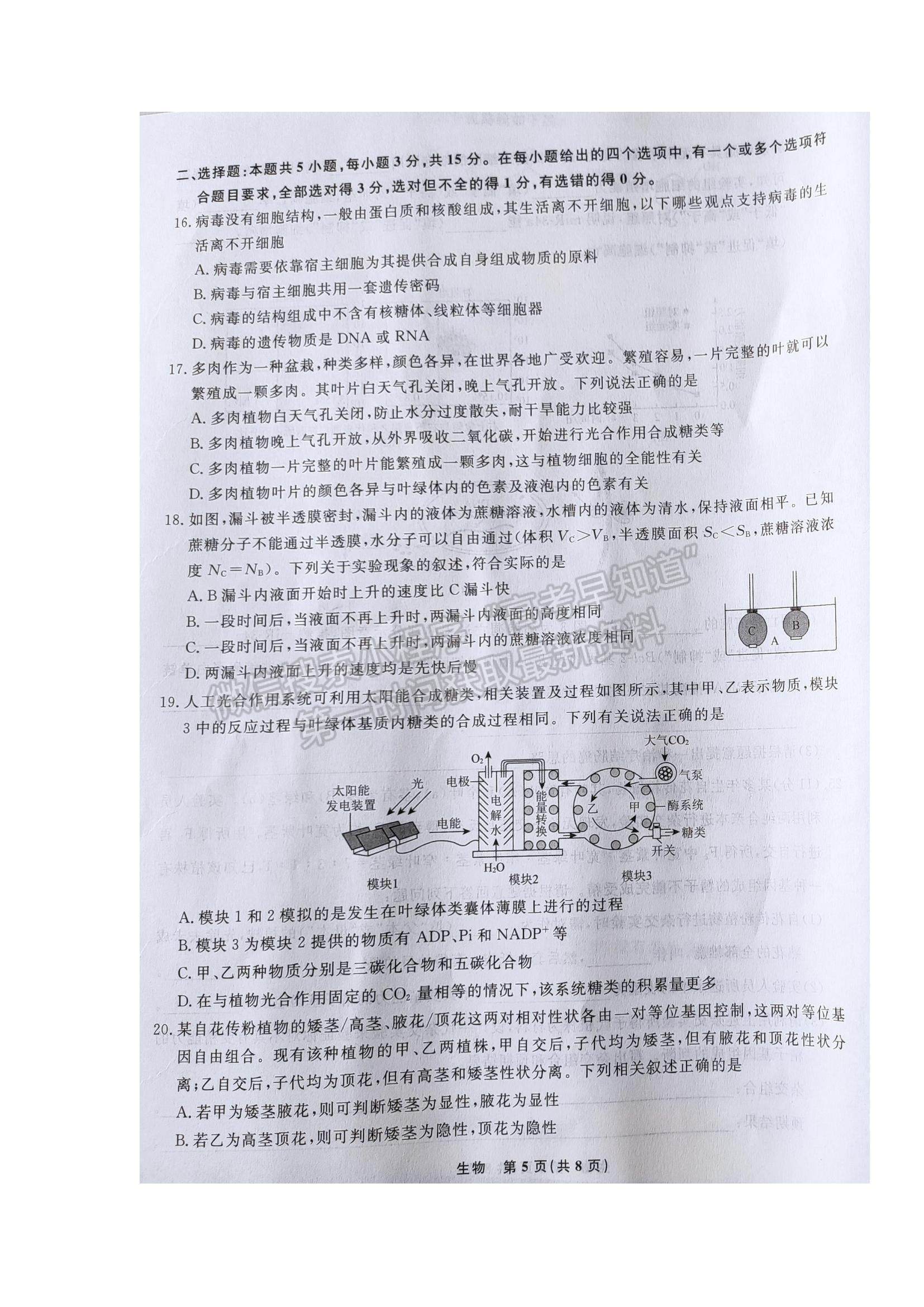 2022遼寧省名校聯(lián)盟高三9月份聯(lián)合考試生物試題及答案