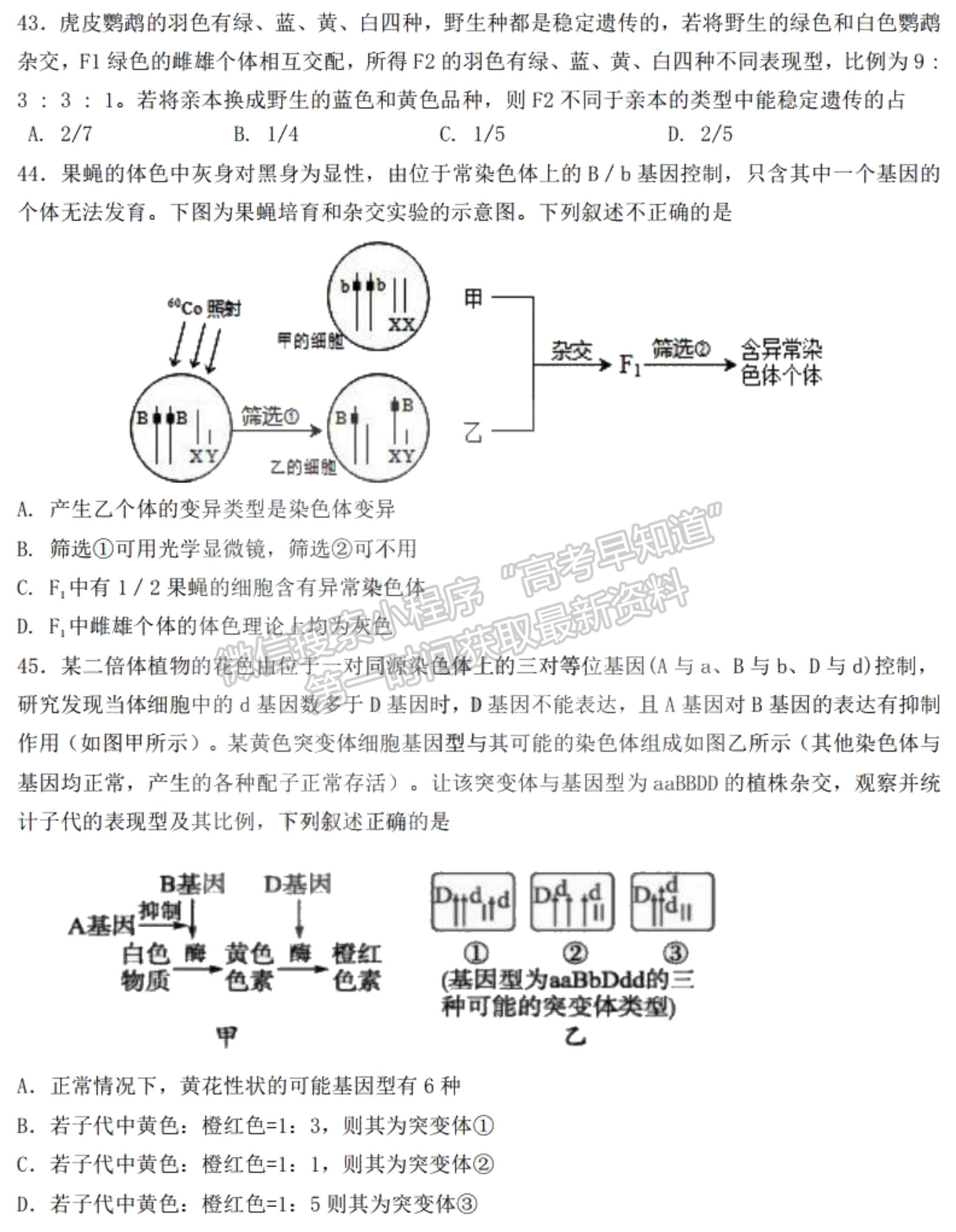 2021黑龍江省哈爾濱市第九中學(xué)高三第二次月考生物試題及參考答案