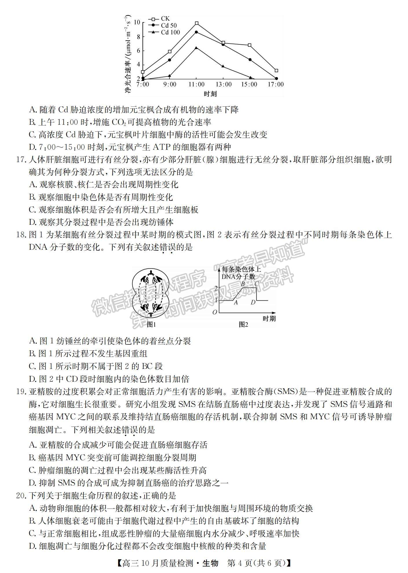 2021河南省高三上學期10月聯(lián)考(老高考)生物試題及參考答案