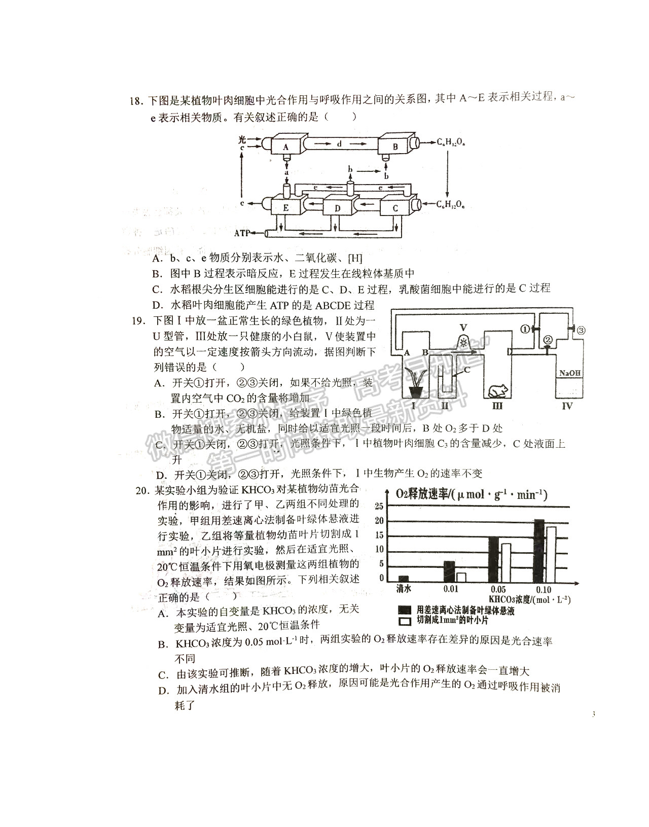 2022六安一中高三第二次月考生物試卷及答案