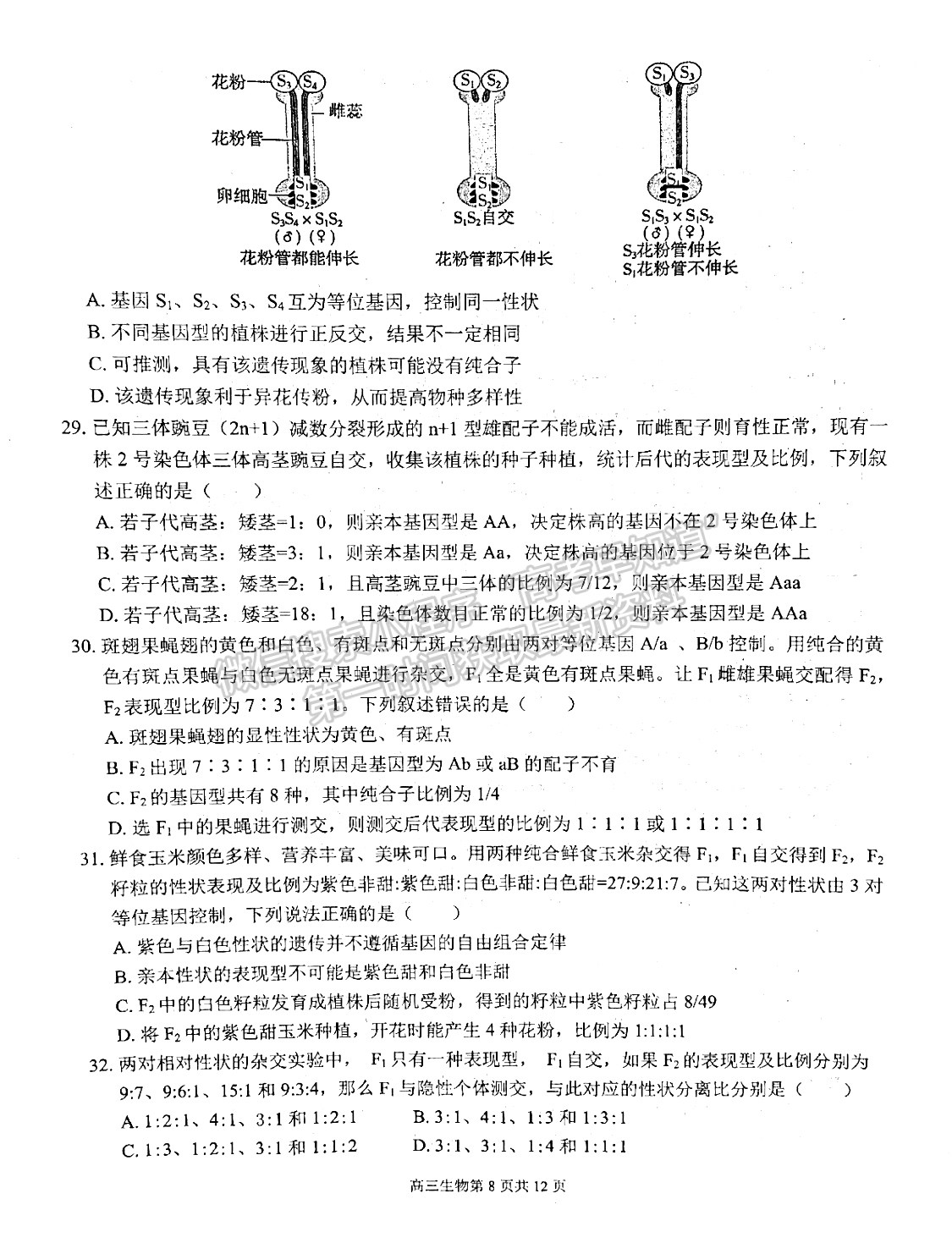 2022安徽師范大學附屬中學高三10月考試生物試卷