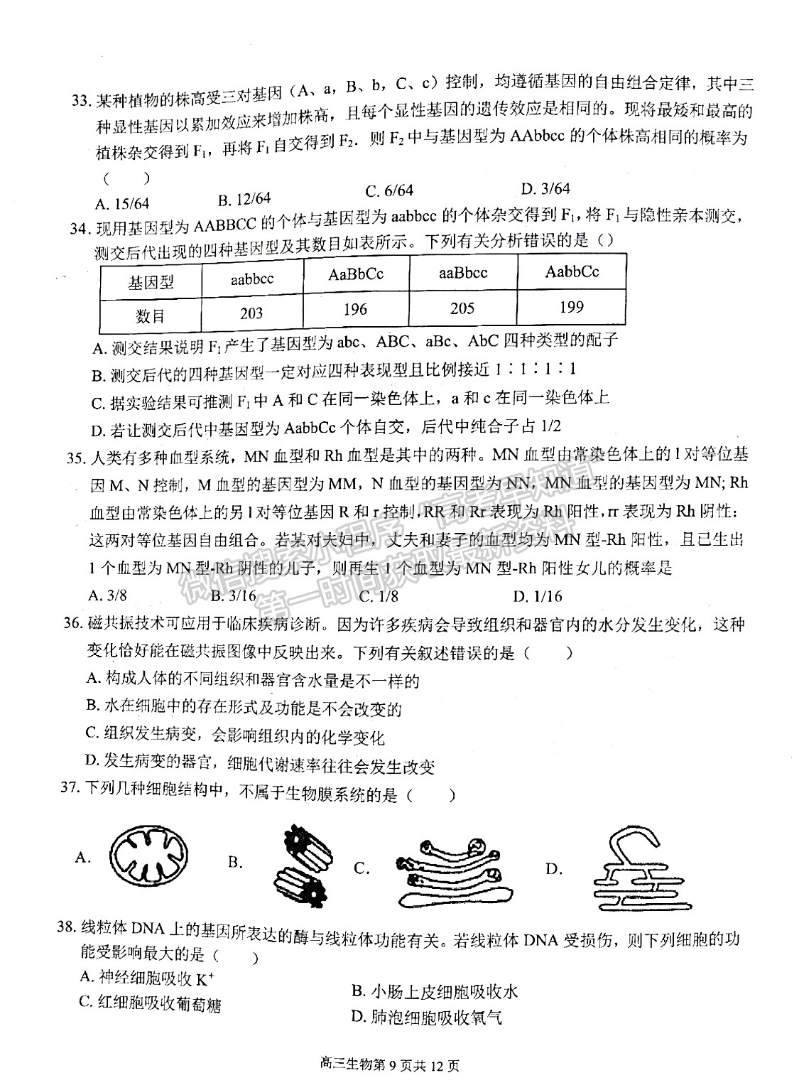 2022安徽師范大學(xué)附屬中學(xué)高三10月考試生物試卷