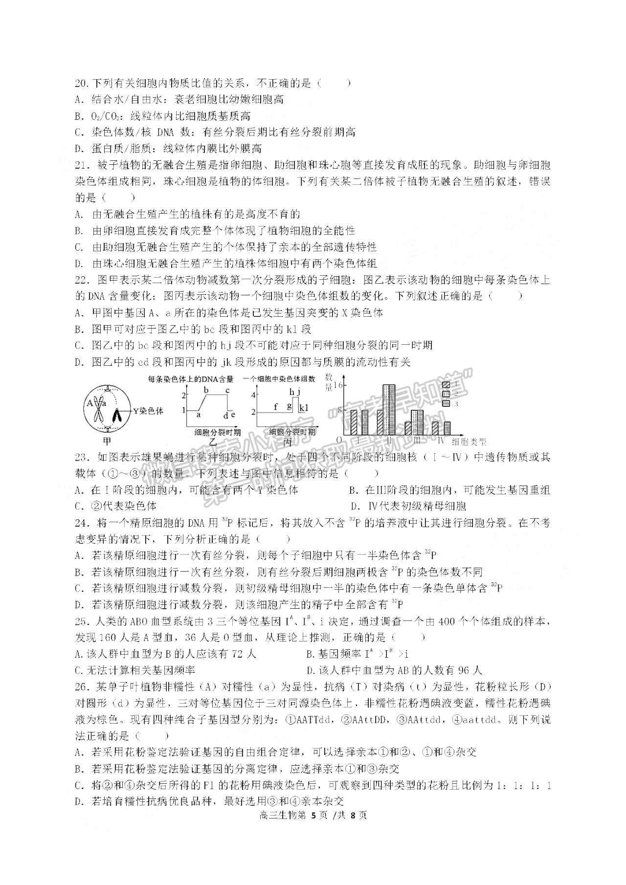 2022合肥一中高三段一測(cè)試生物試卷及答案