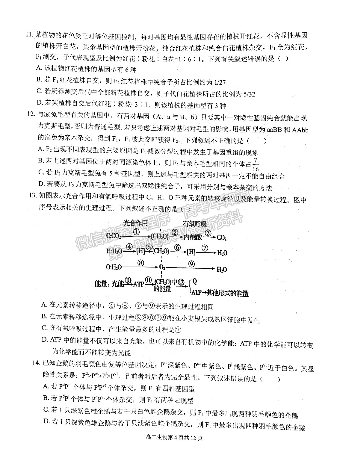 2022安徽師范大學附屬中學高三10月考試生物試卷