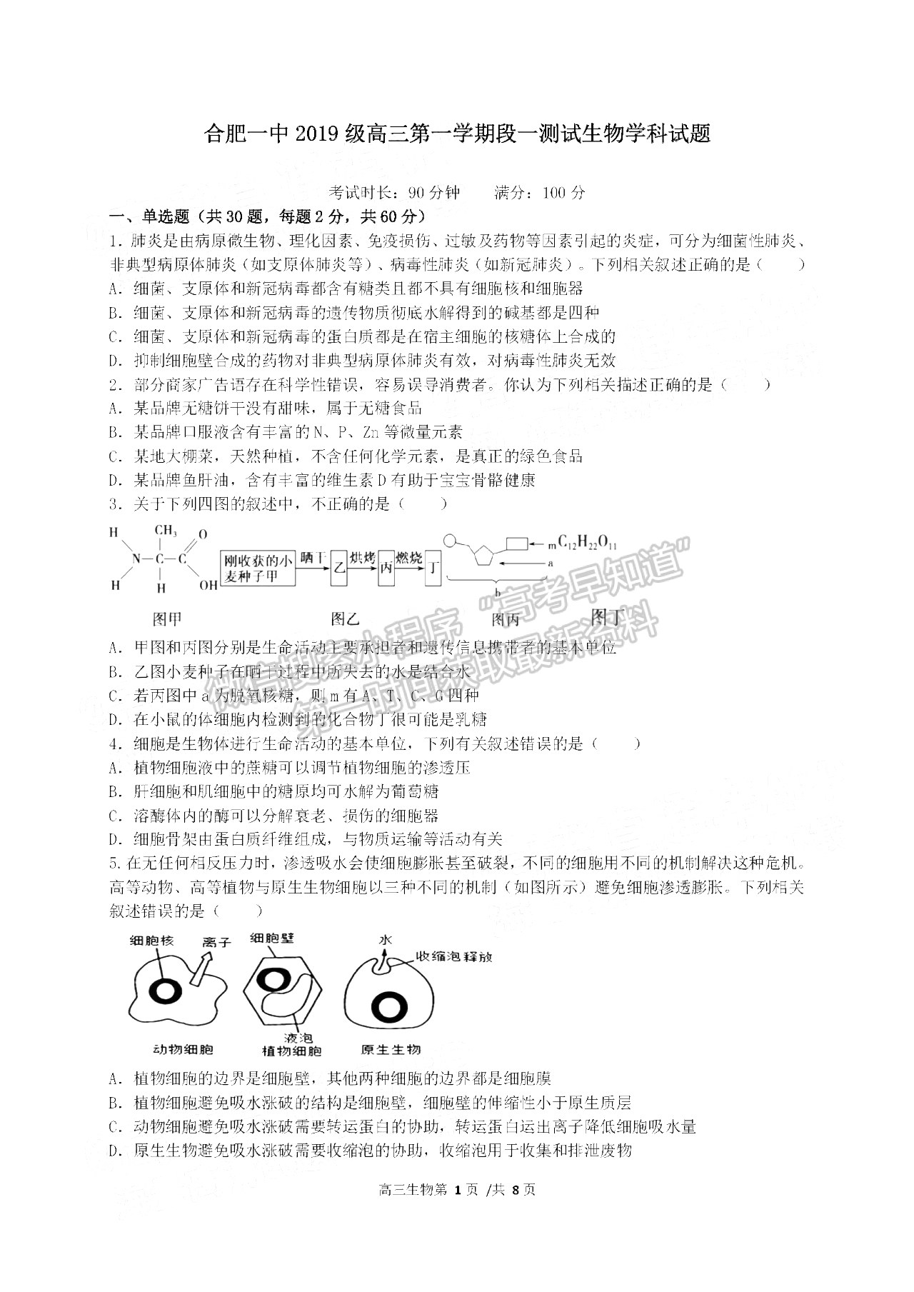 2022合肥一中高三段一測試生物試卷及答案