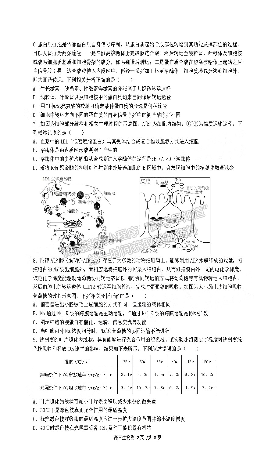 2022合肥一中高三段一測試生物試卷及答案