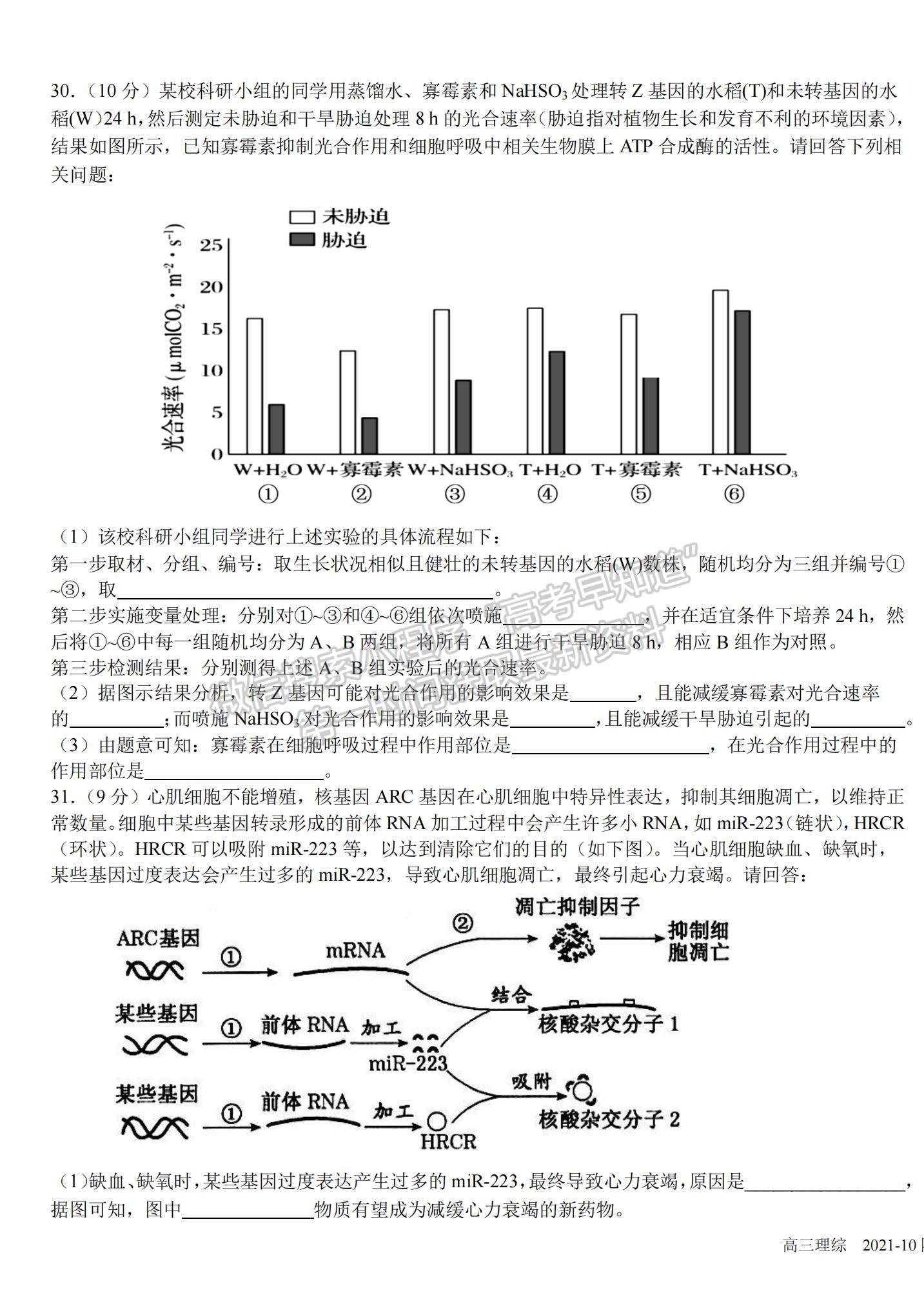 2022成都市樹德中學高三上學期10月階段性測試理綜試題及參考答案