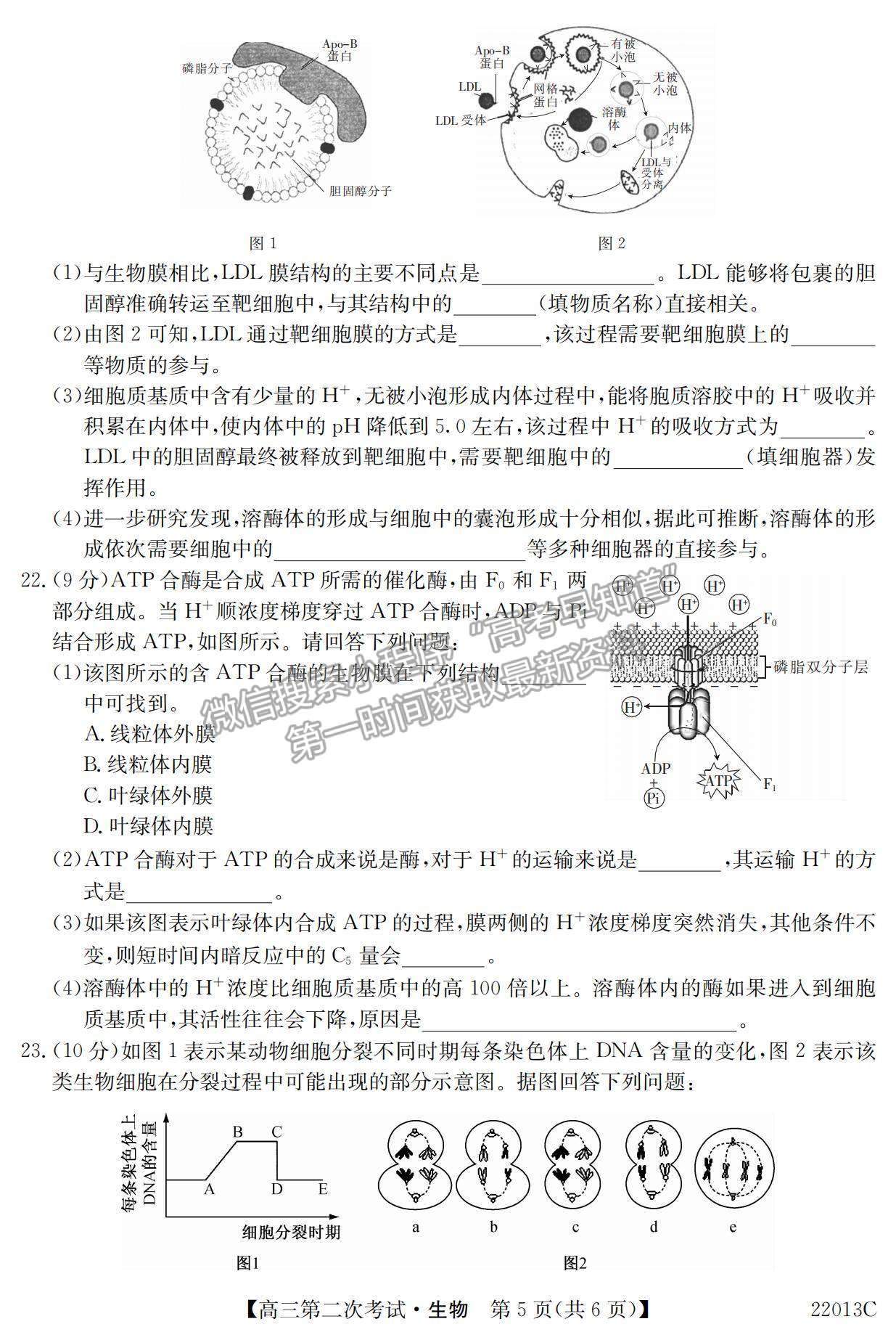 2022遼寧省高三第一學(xué)期第二次考試（22013c）生物試題及參考答案