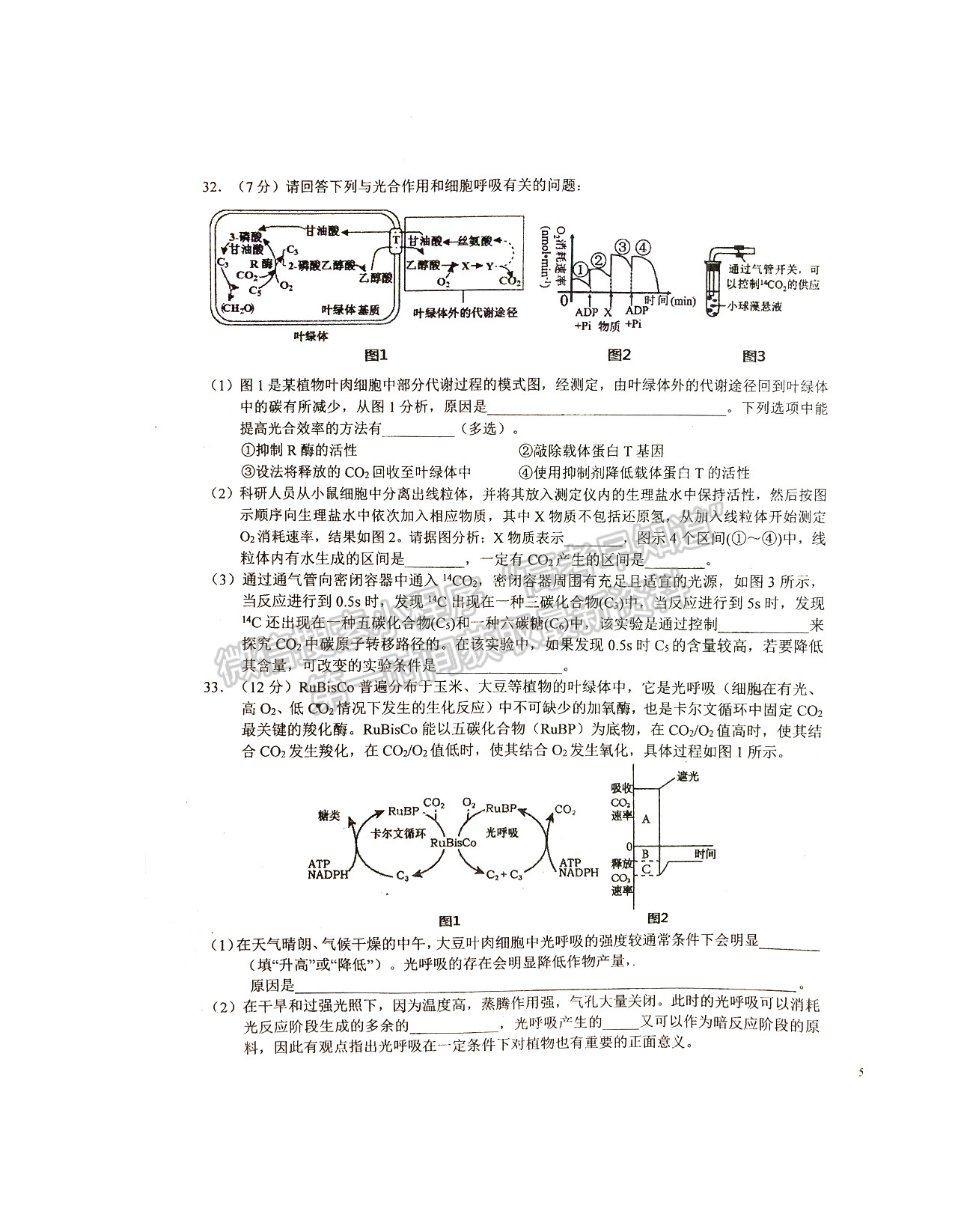 2022六安一中高三第二次月考生物試卷及答案