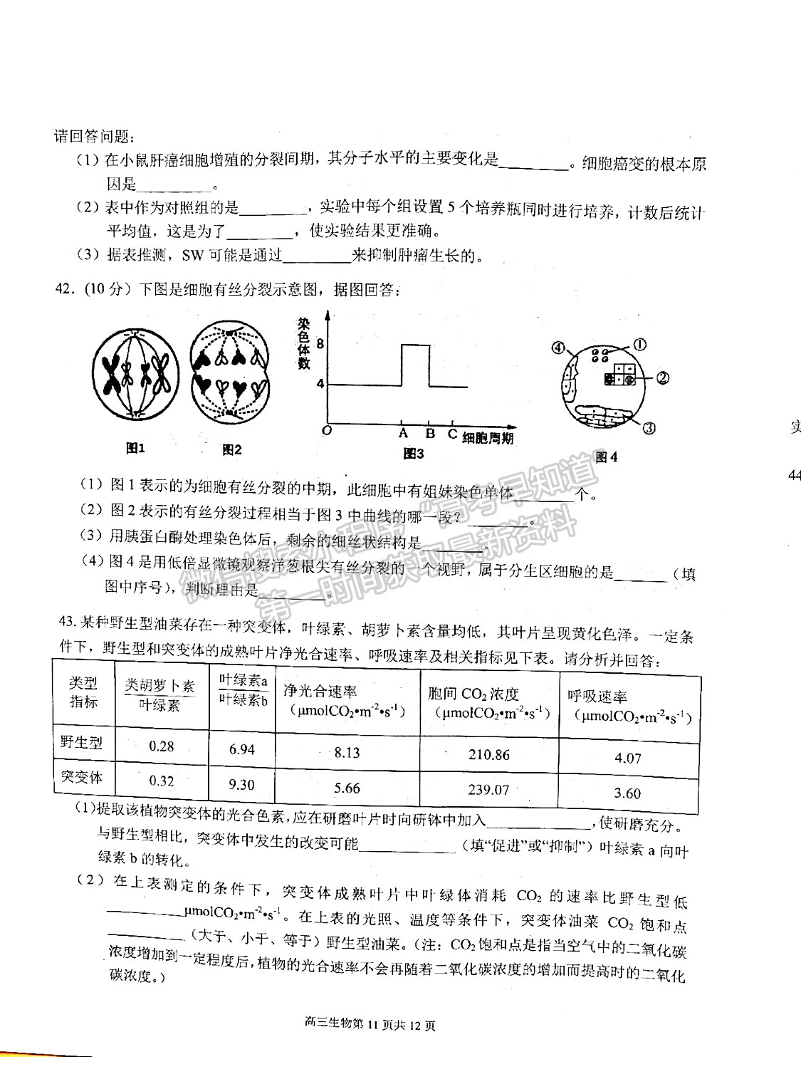 2022安徽師范大學(xué)附屬中學(xué)高三10月考試生物試卷