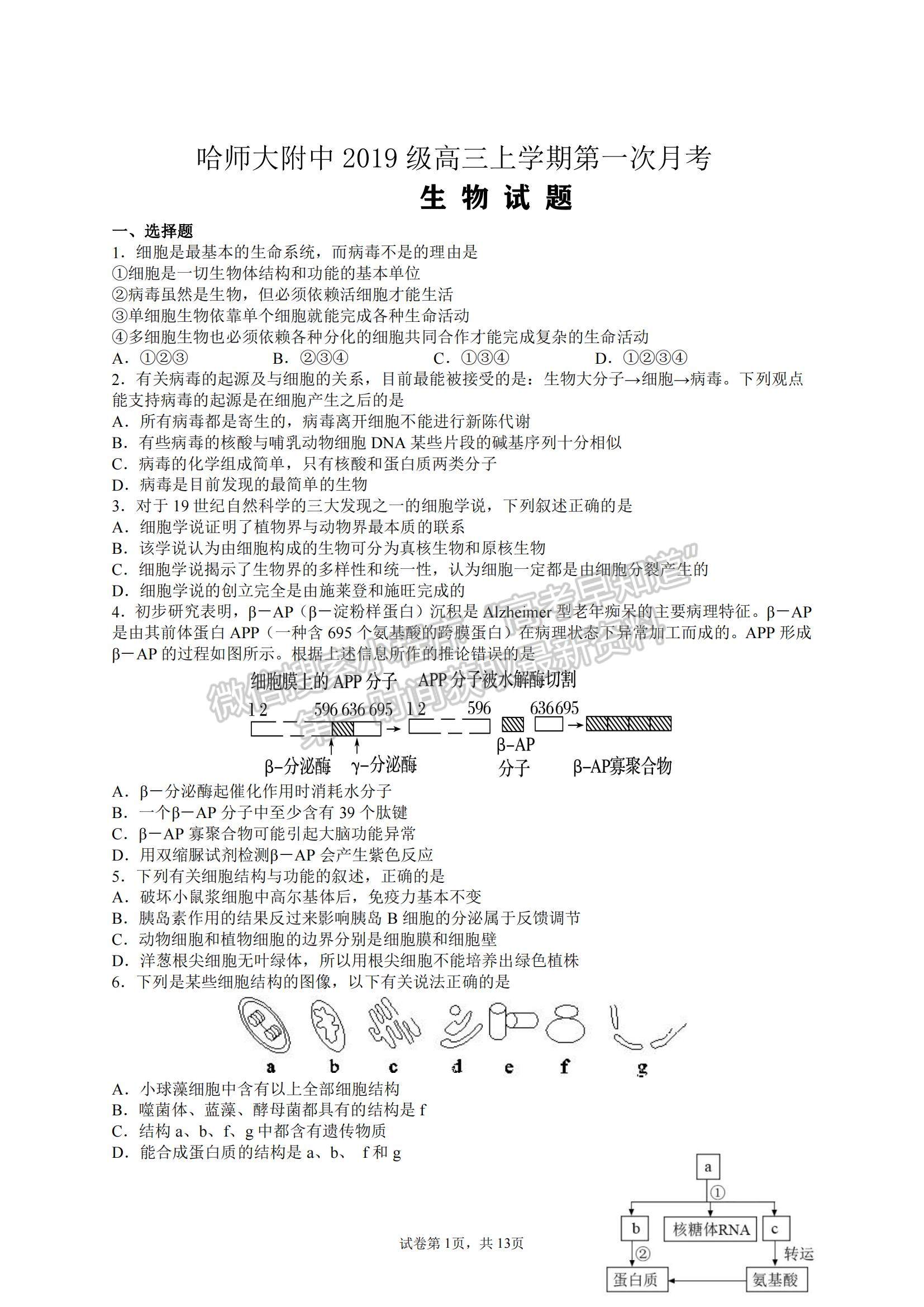 2022 哈尔滨师大附中高三上学期第一次月考生物试题及参考答案