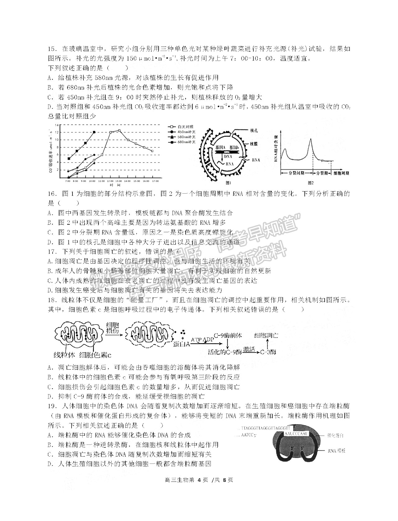 2022合肥一中高三段一測試生物試卷及答案