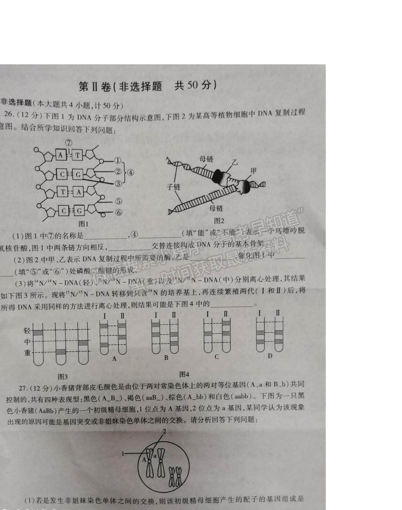 2021陜西省楊陵區(qū)高級中學(xué)高一下學(xué)期第二次月考生物試題及參考答案