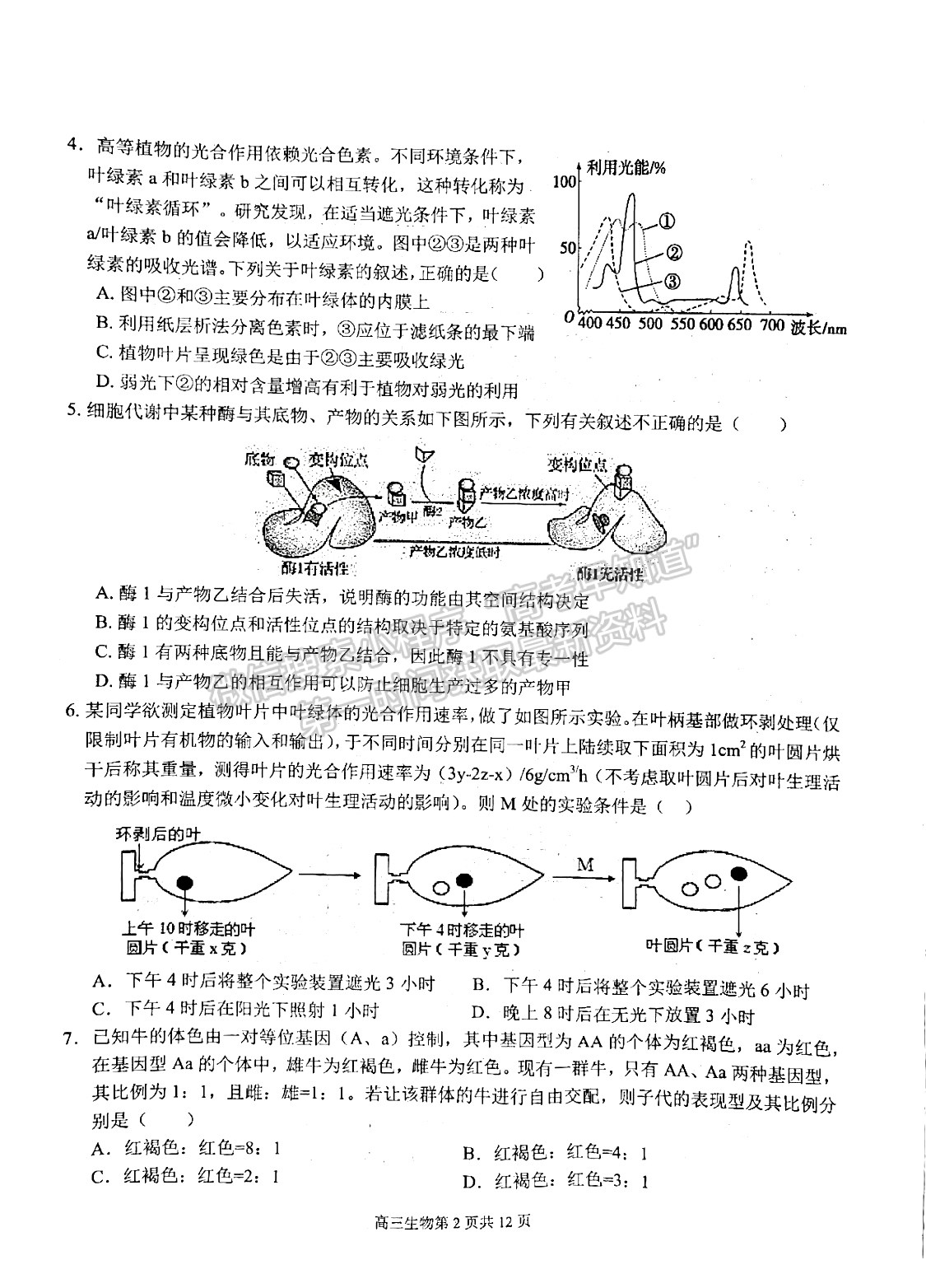 2022安徽師范大學附屬中學高三10月考試生物試卷