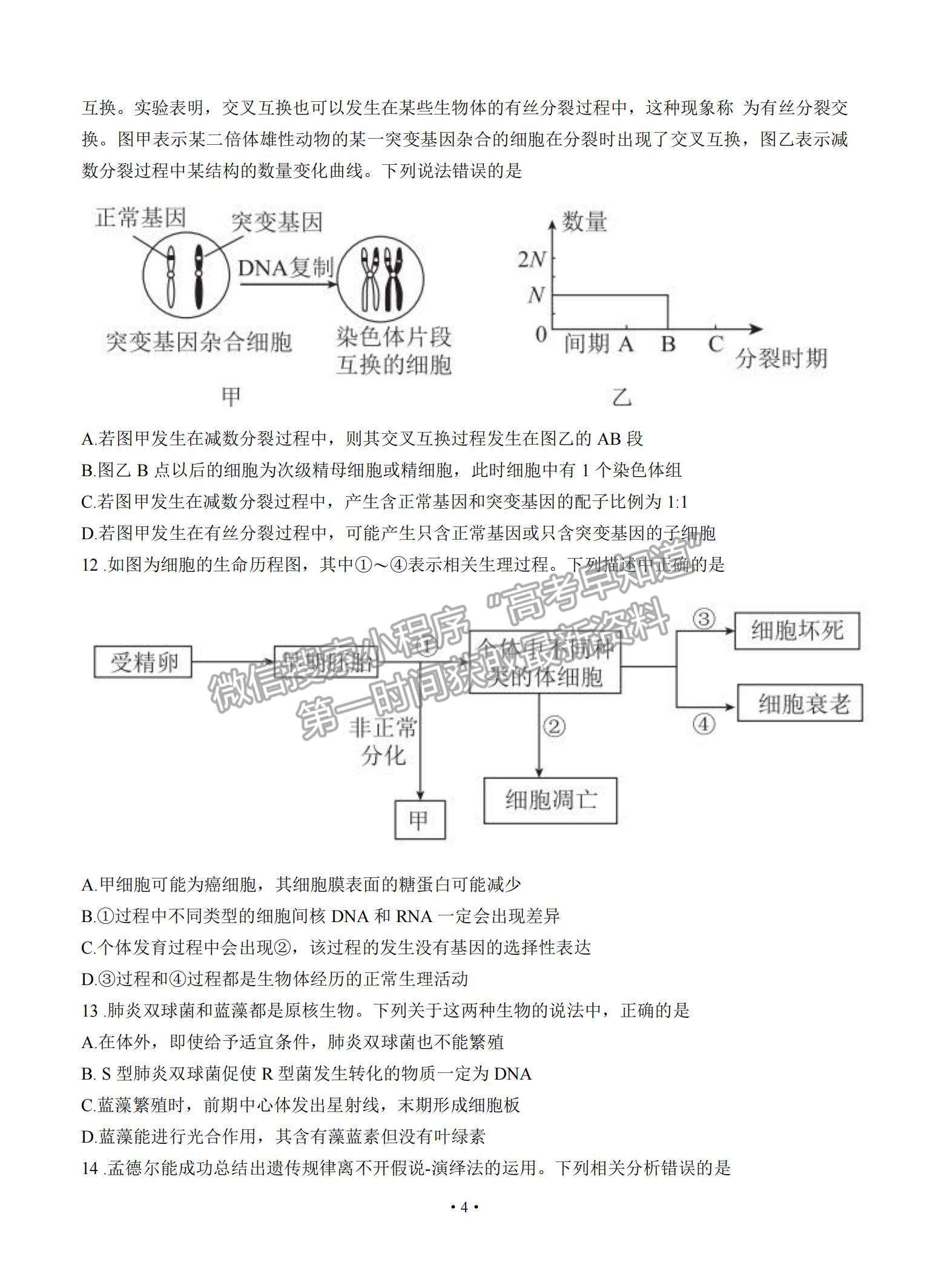 2022河南省部分名校高三上學期8月摸底聯(lián)考生物試題及參考答案