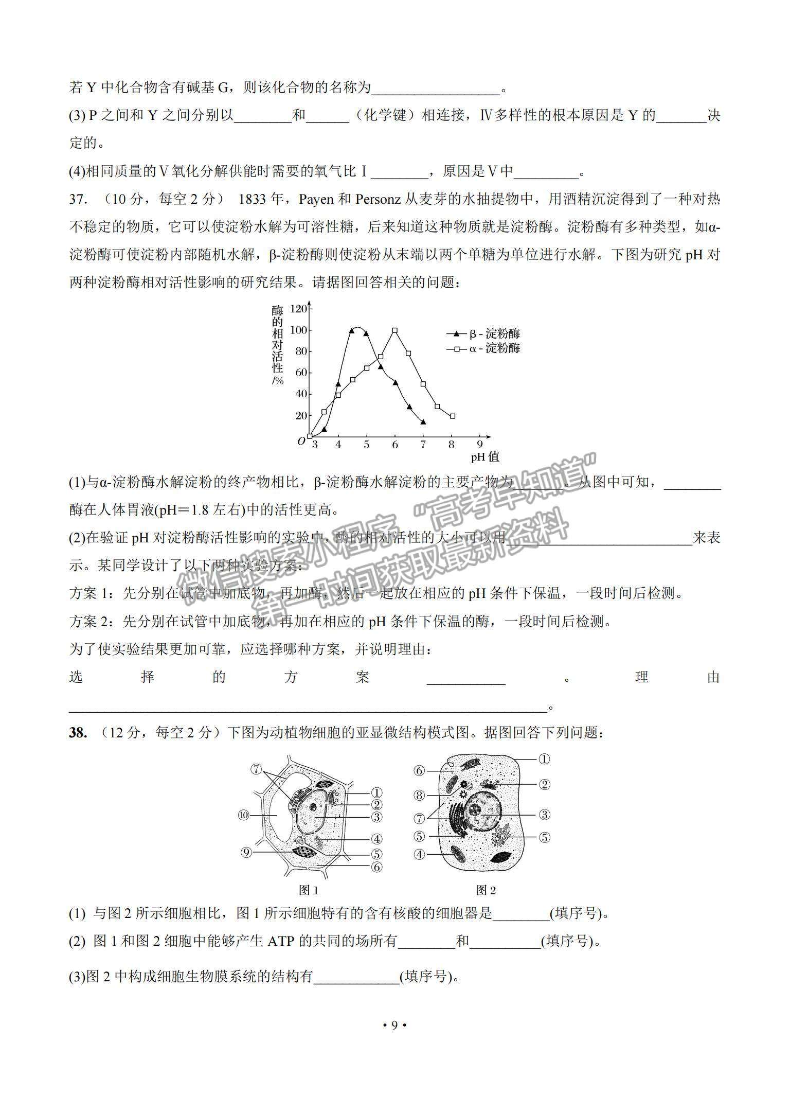 2021福建省連城縣一中高三上學(xué)期月考（一）生物試題及參考答案