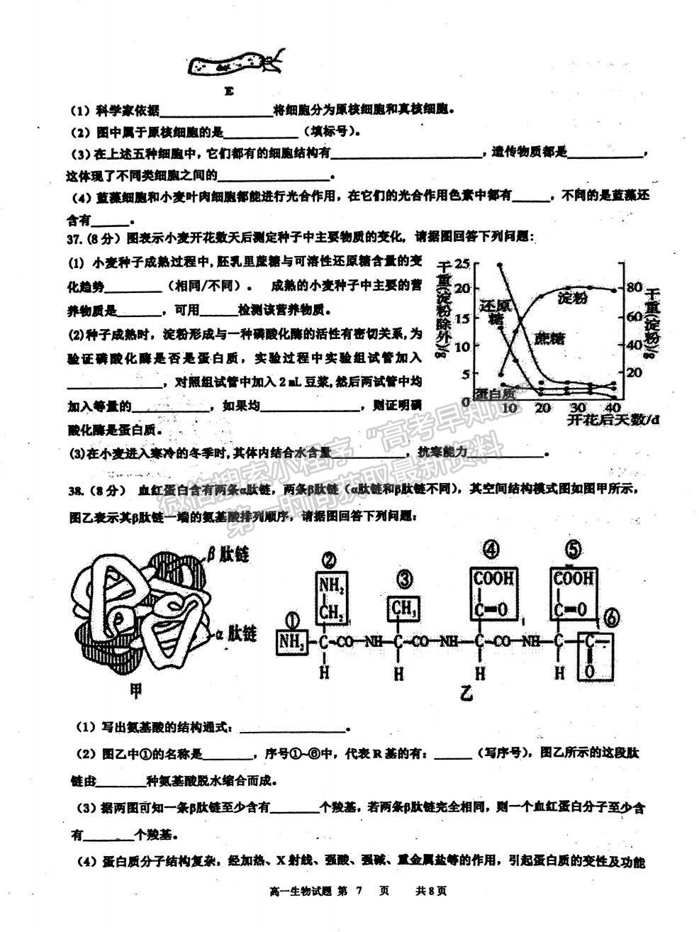 2022江蘇省淮安市洪澤中學(xué)、金湖中學(xué)等六校高一上學(xué)期第一次月考生物試題及參考答案