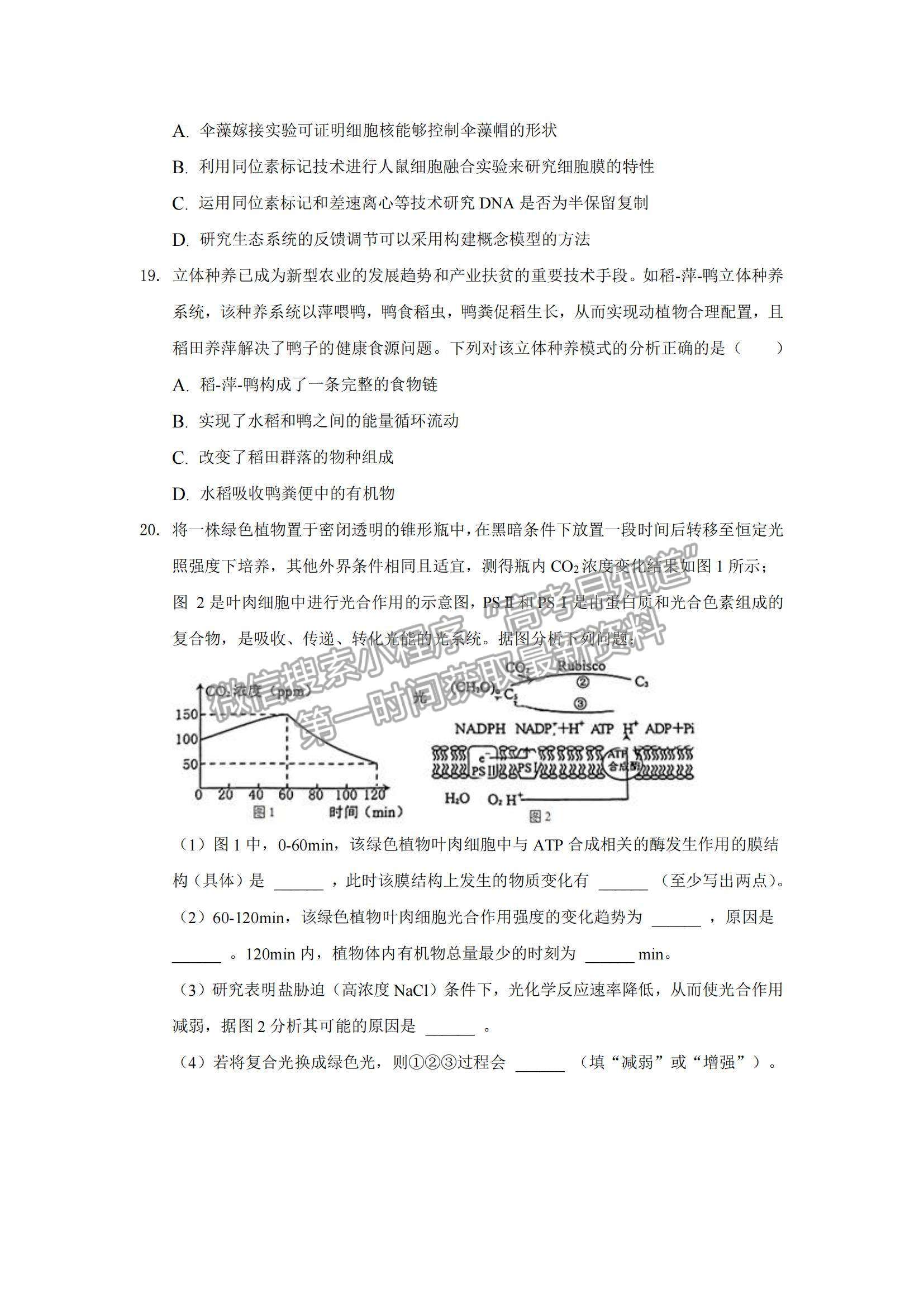 2022安徽省桐城市重點中學高三上學期開學教學質(zhì)量檢測生物試題及參考答案