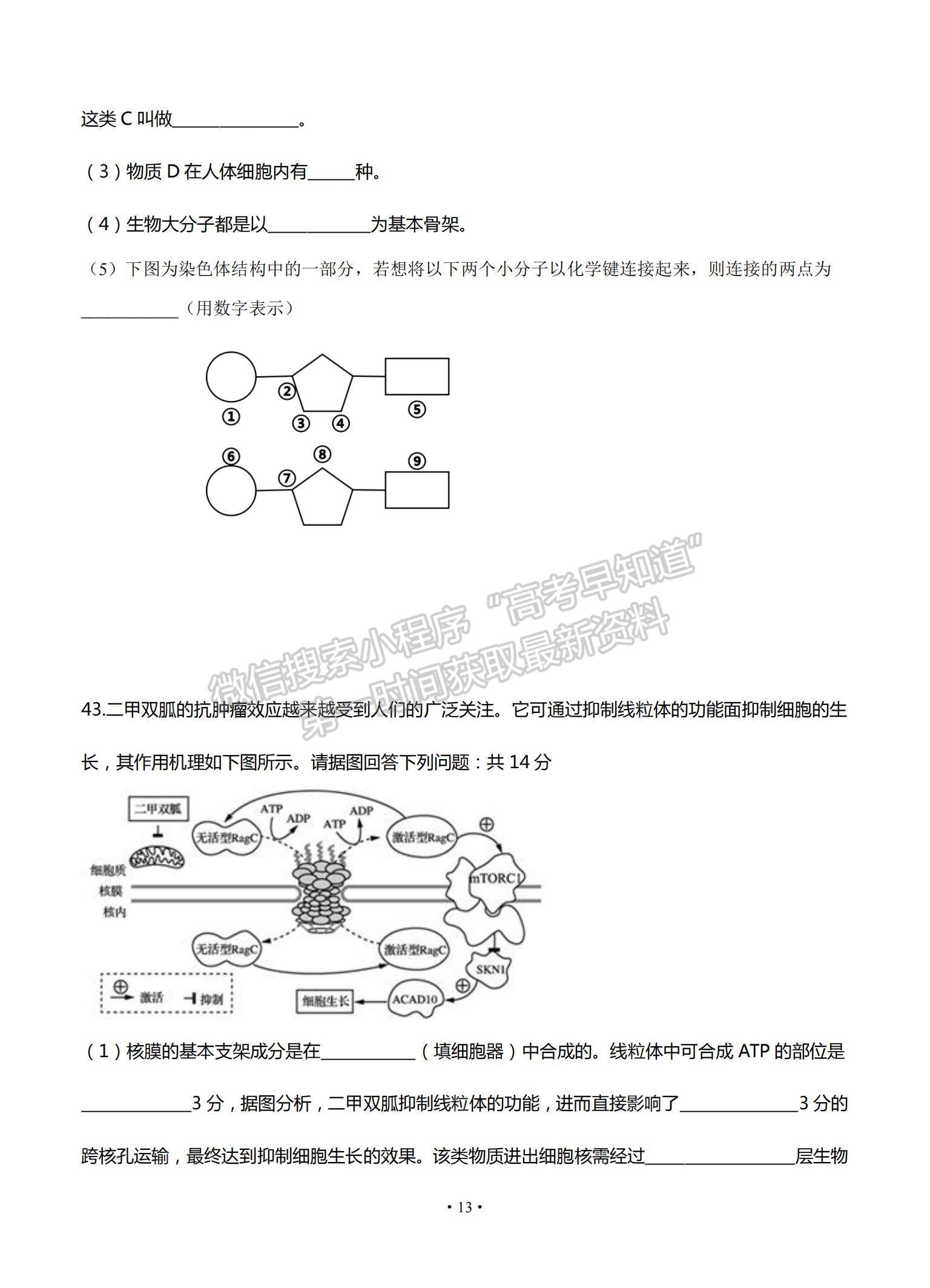 2022甘肅省天水一中高三上學期8月第一次考試生物試題及參考答案