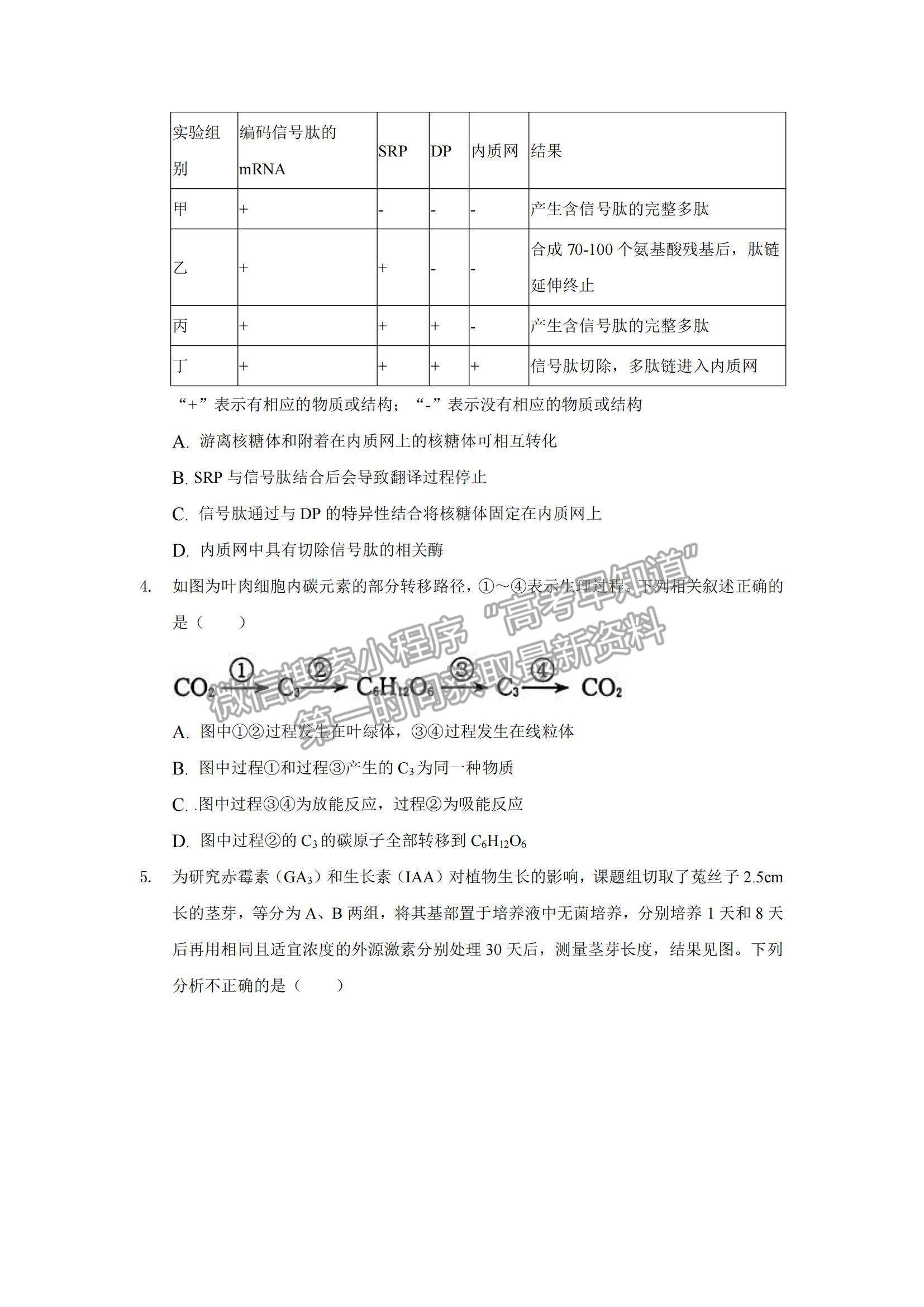 2022安徽省桐城市重點(diǎn)中學(xué)高三上學(xué)期開學(xué)教學(xué)質(zhì)量檢測生物試題及參考答案