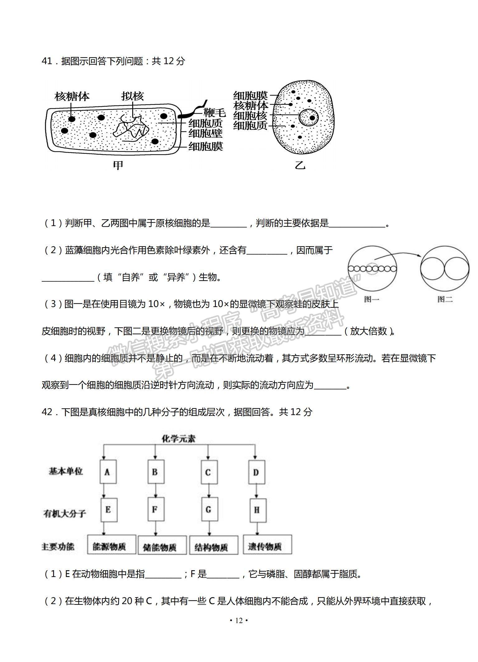 2022甘肅省天水一中高三上學(xué)期8月第一次考試生物試題及參考答案