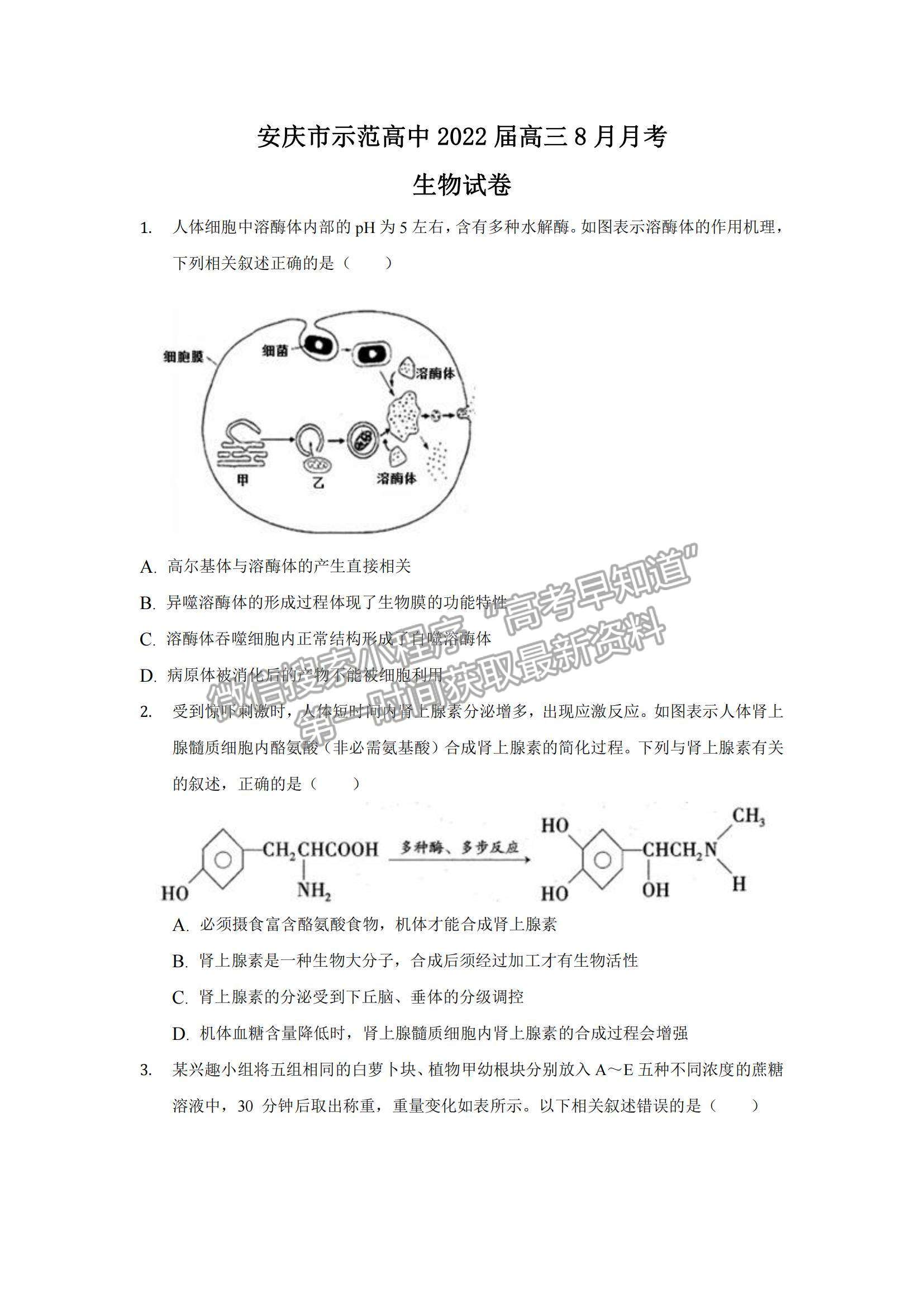 2022安徽省安慶市示范高中高三上學期8月月考生物試題及參考答案