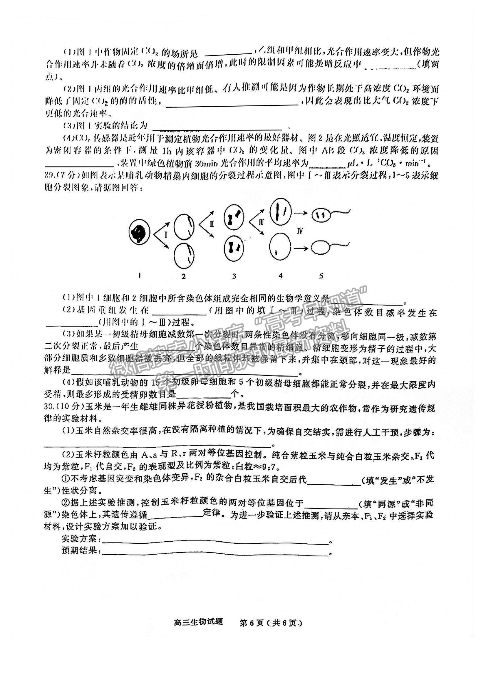 2022河南省信陽市高三第一次模擬測試生物試題及參考答案