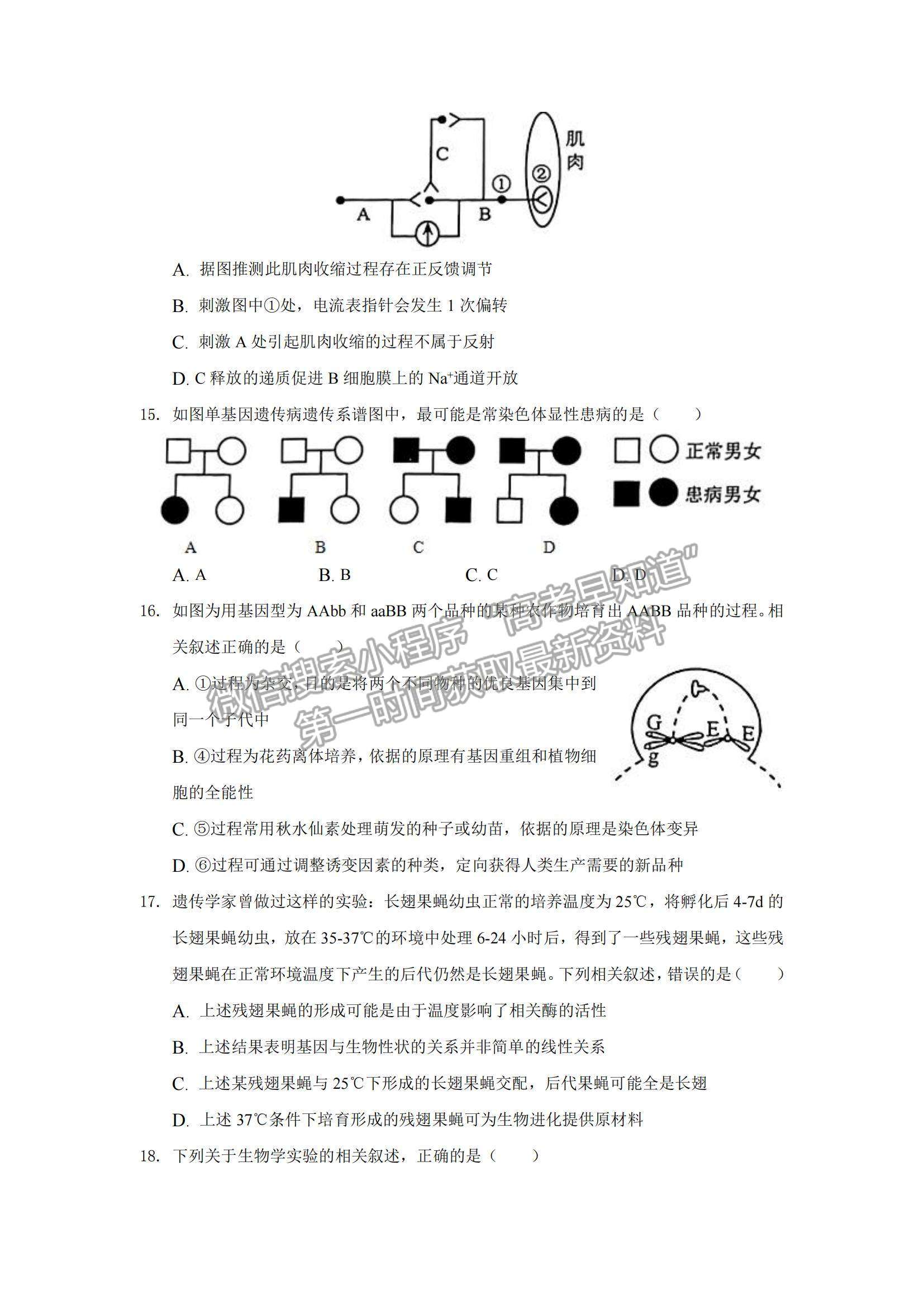 2022安徽省桐城市重點中學高三上學期開學教學質(zhì)量檢測生物試題及參考答案