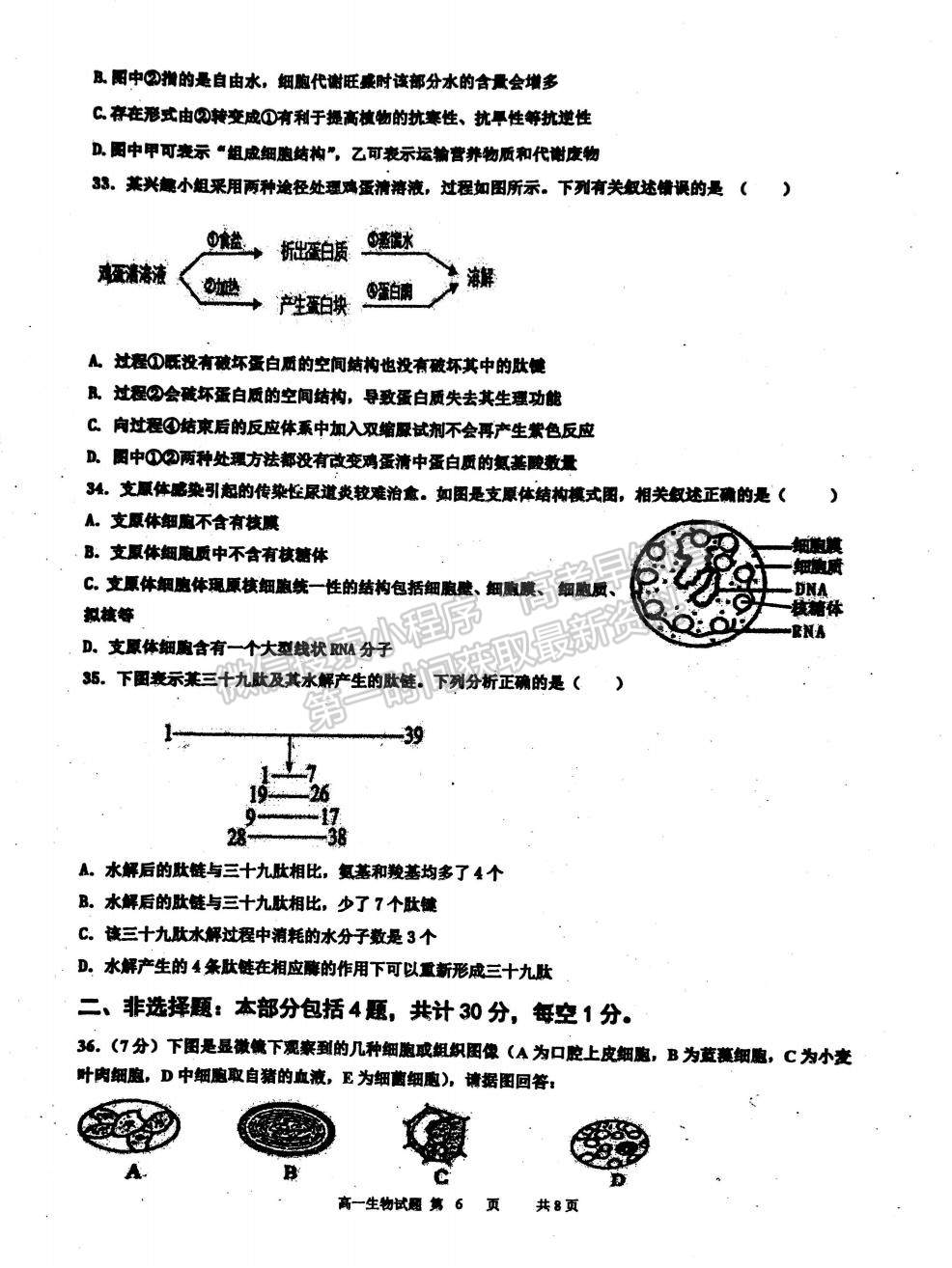 2022江蘇省淮安市洪澤中學(xué)、金湖中學(xué)等六校高一上學(xué)期第一次月考生物試題及參考答案